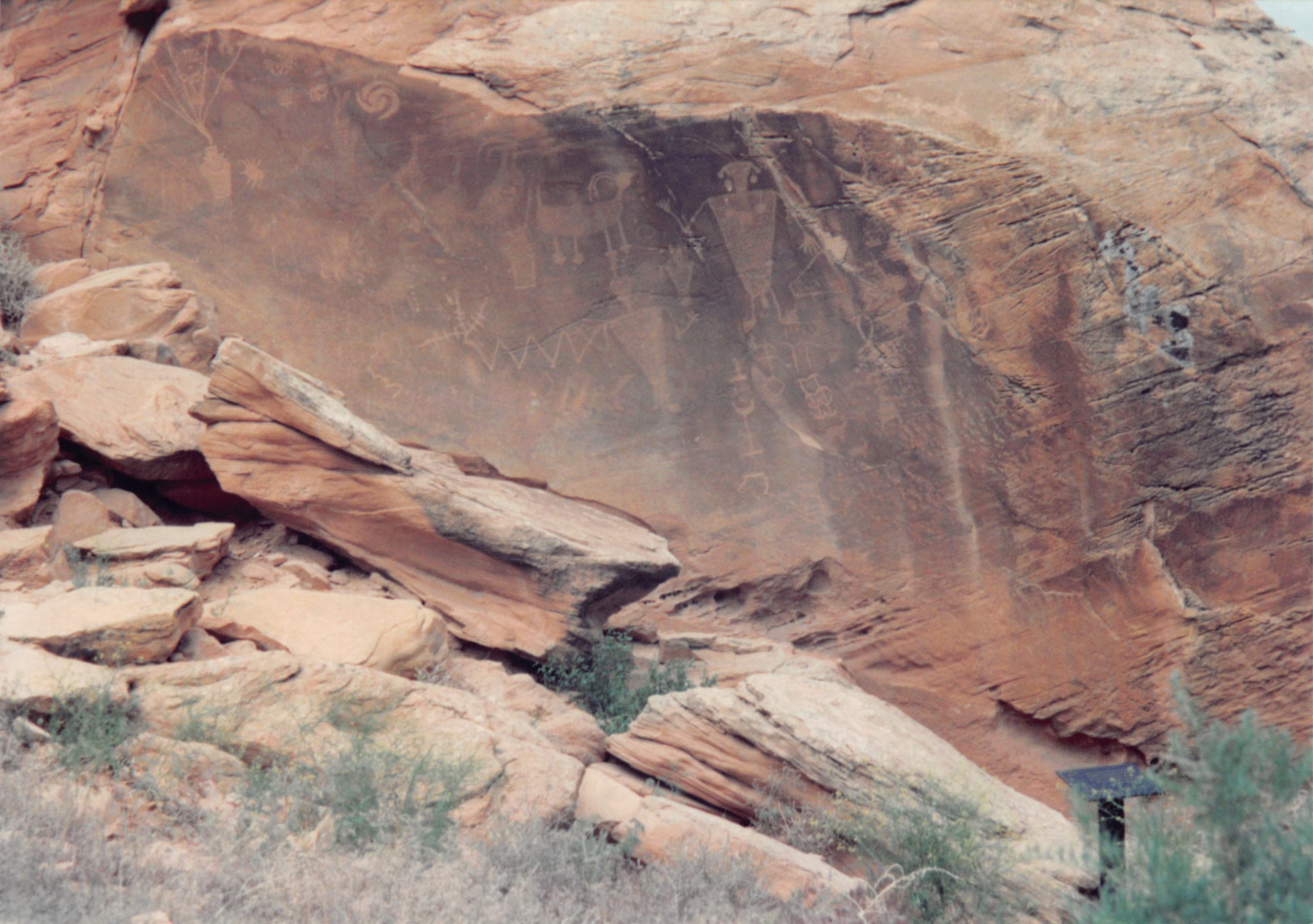 1994_Summer_220.jpg