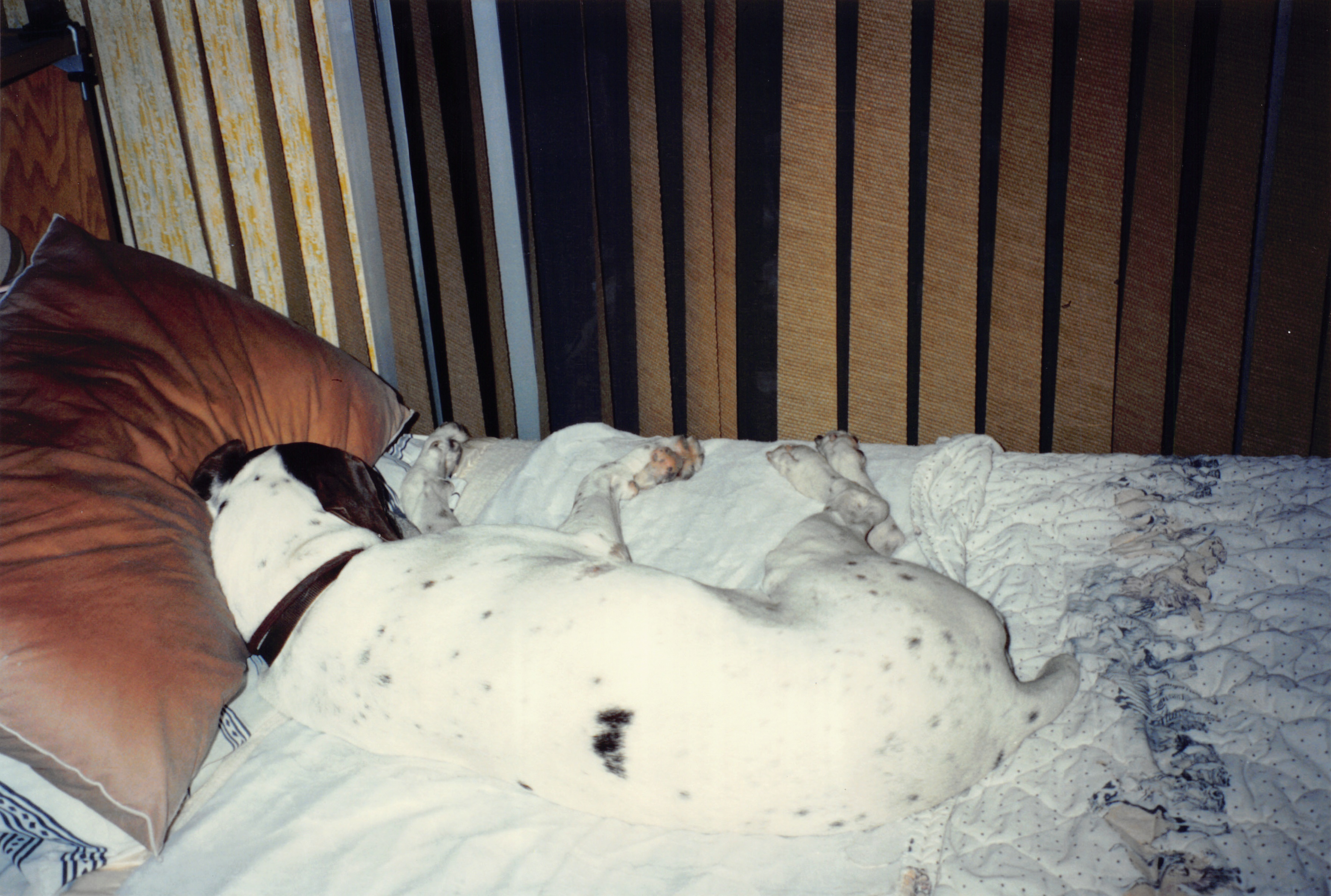 1994_Summer_247.jpg