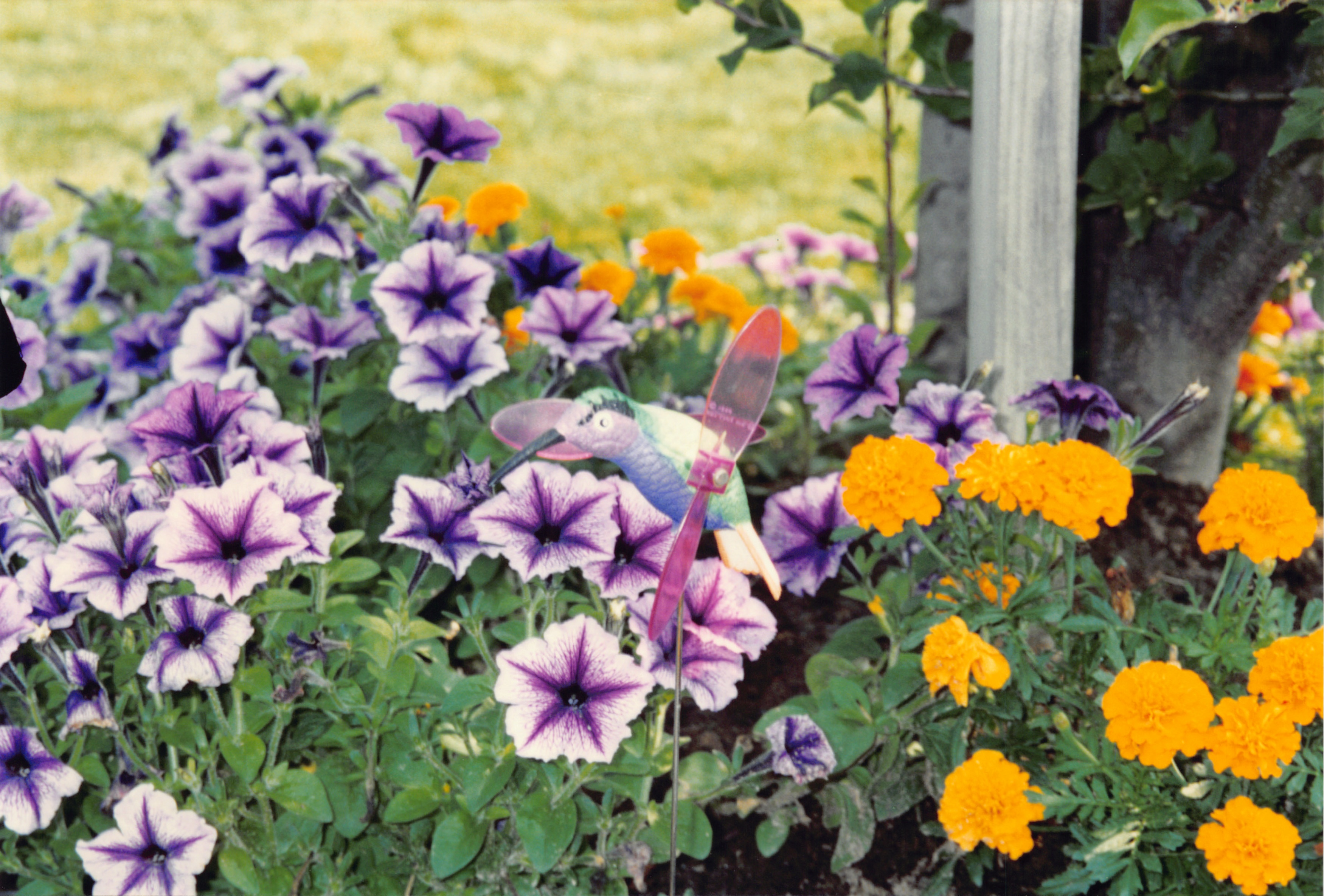 1994_Summer_285.jpg