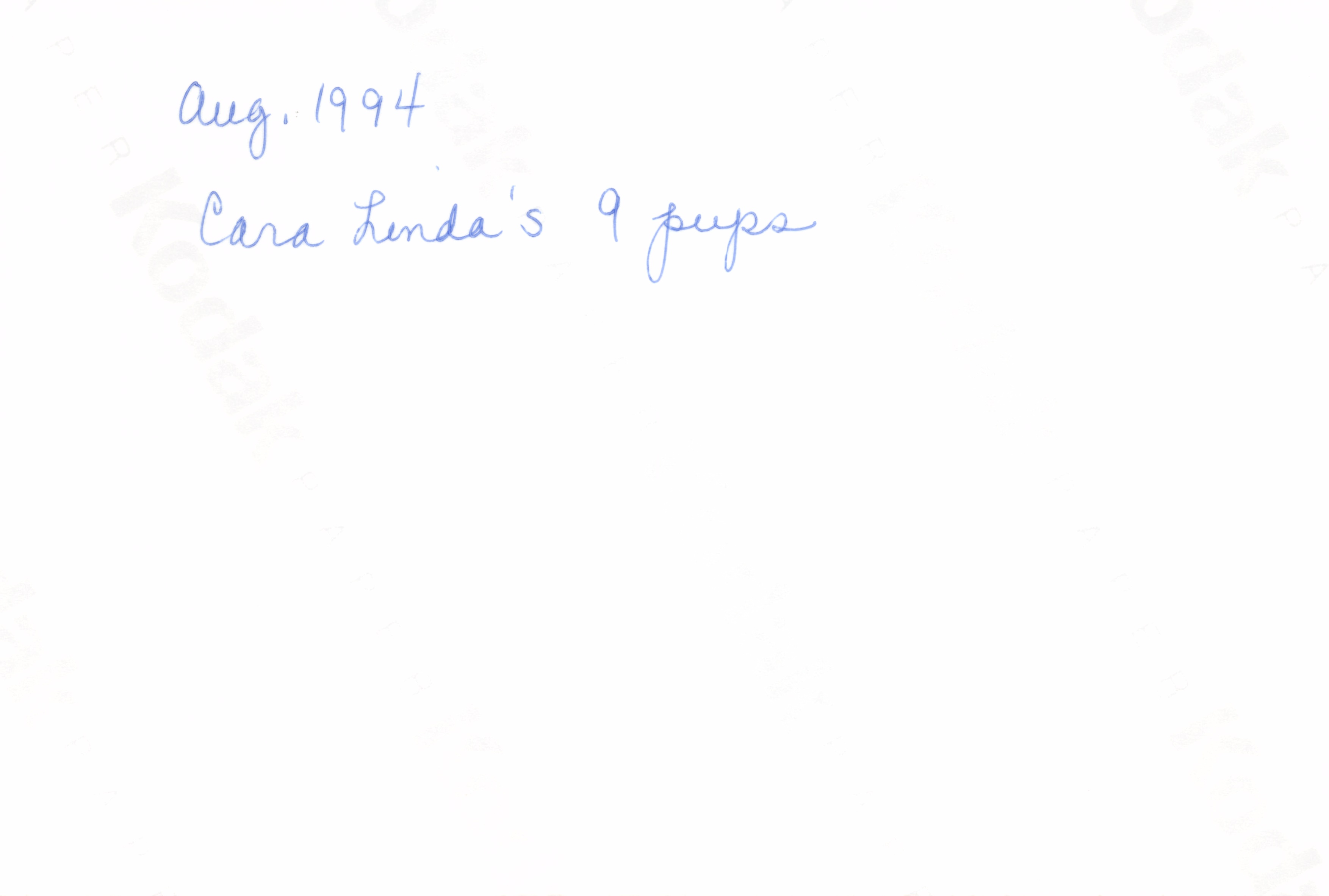 1994_Summer_356.jpg
