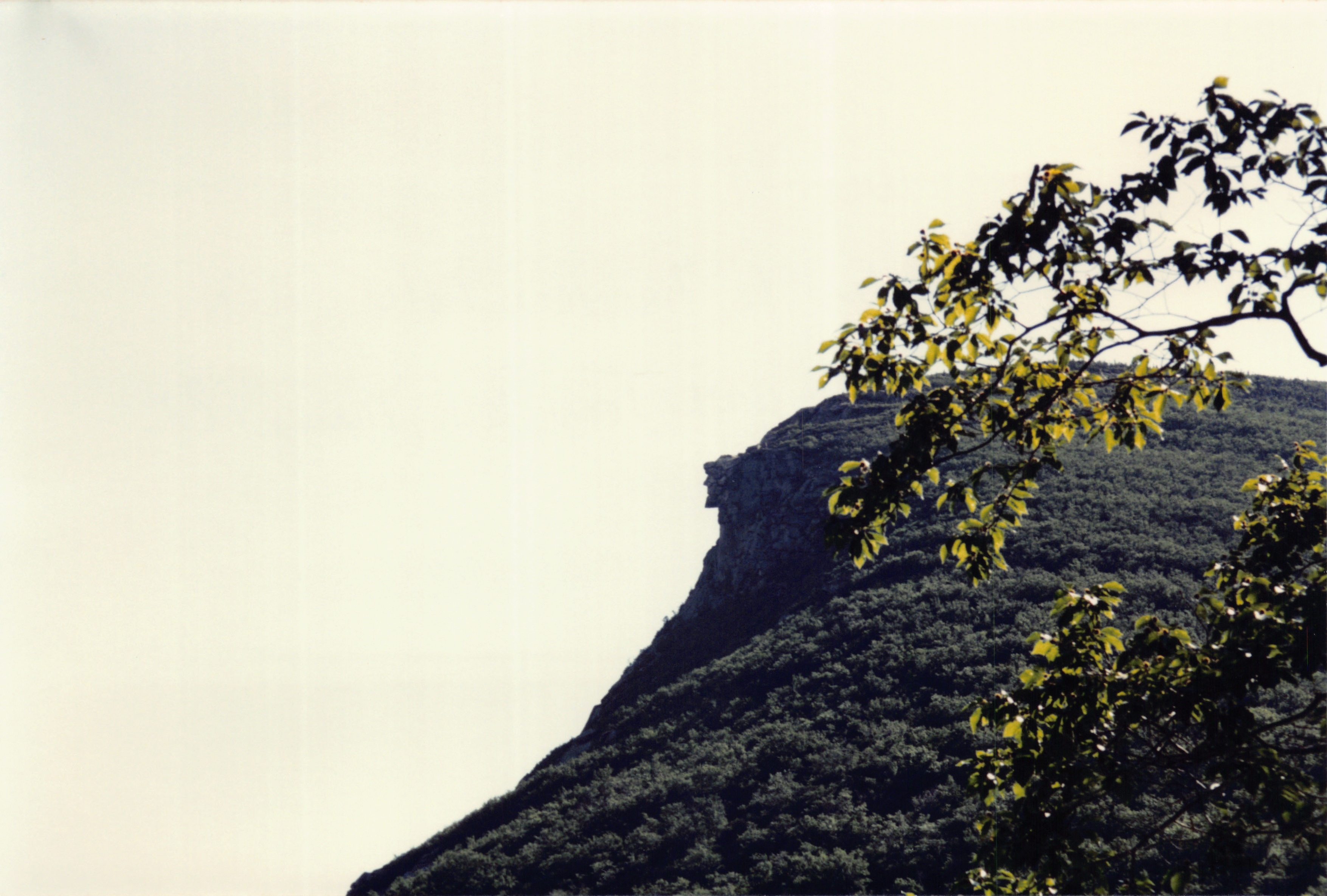 1994_Summer_367.jpg
