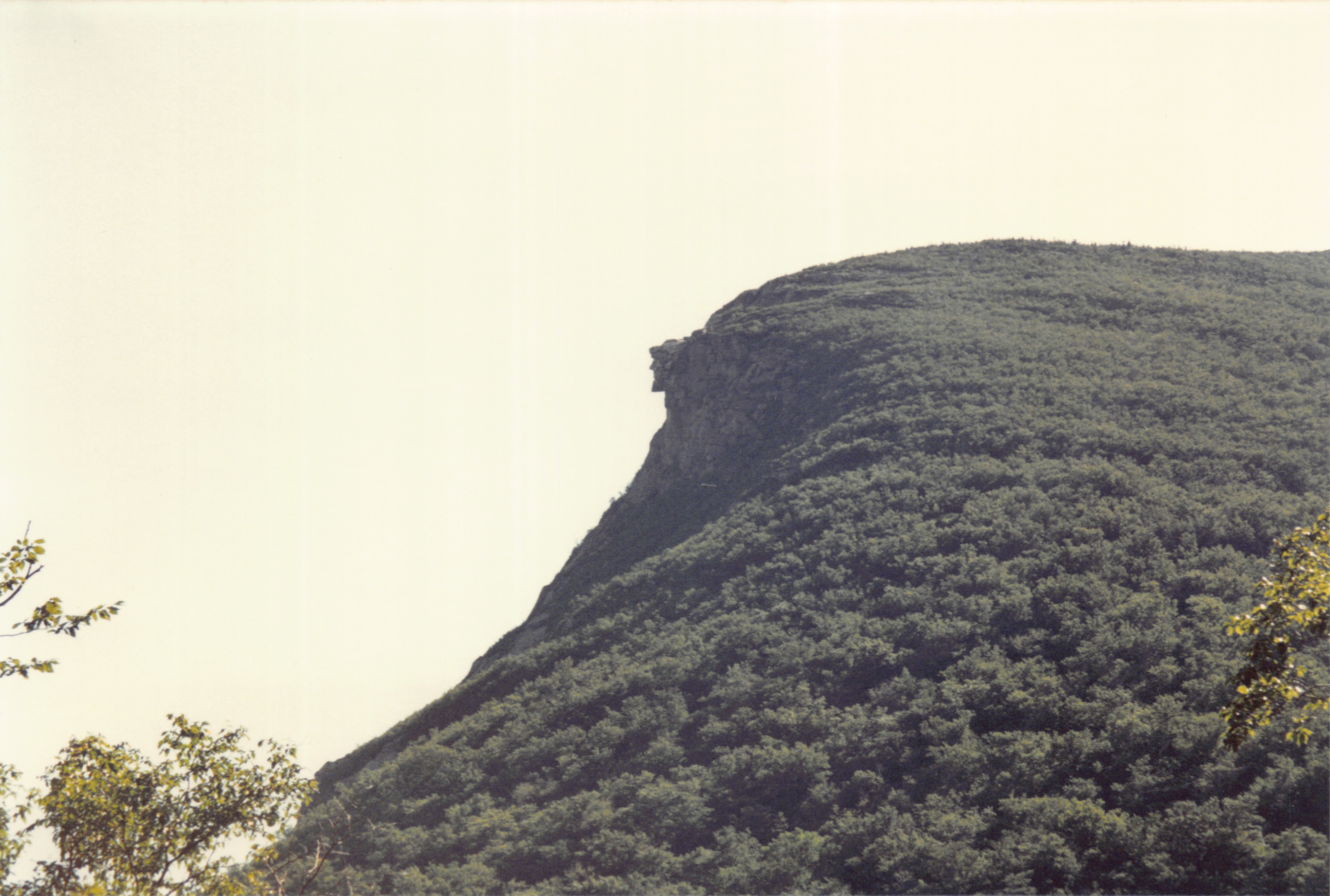 1994_Summer_369.jpg