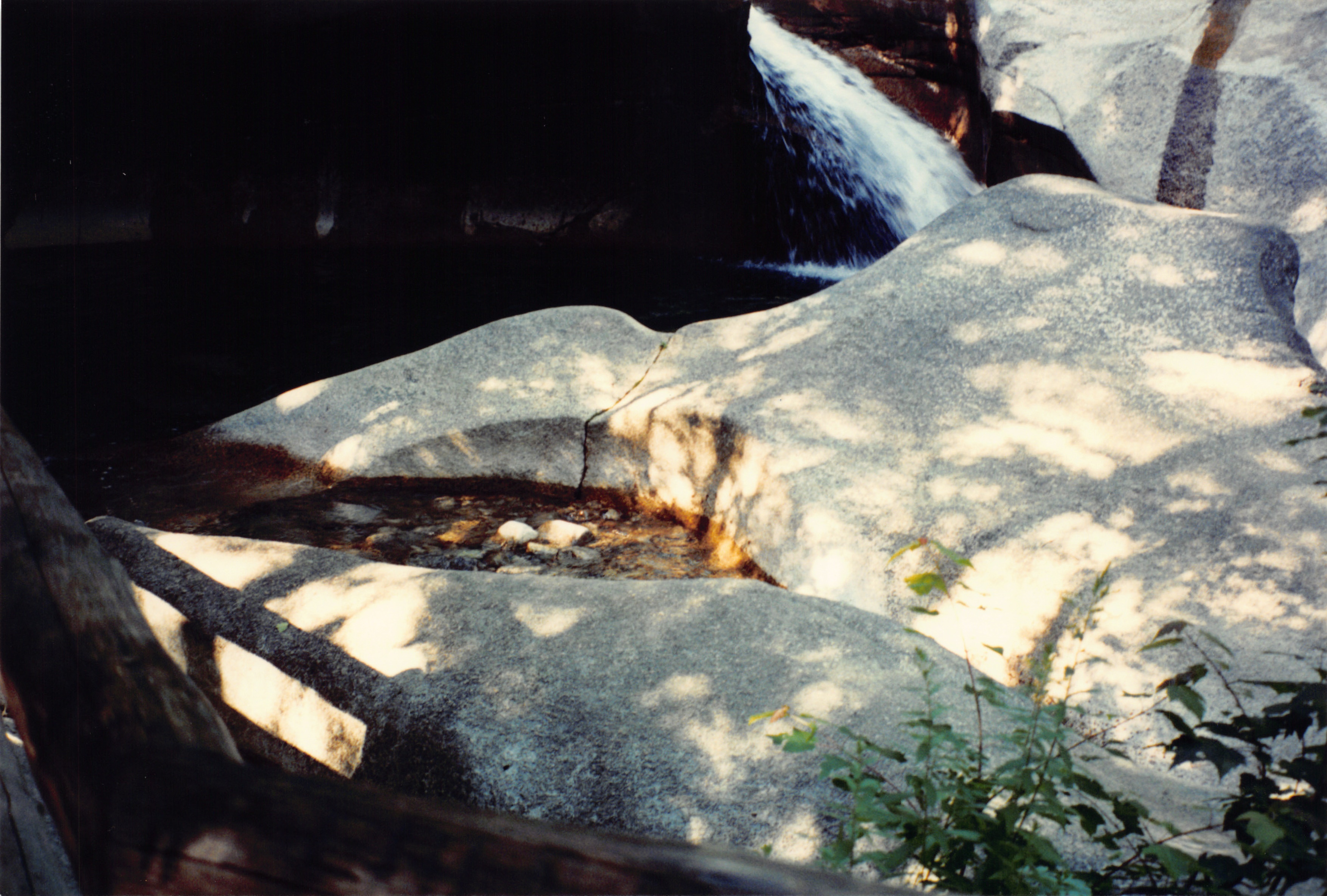 1994_Summer_371.jpg
