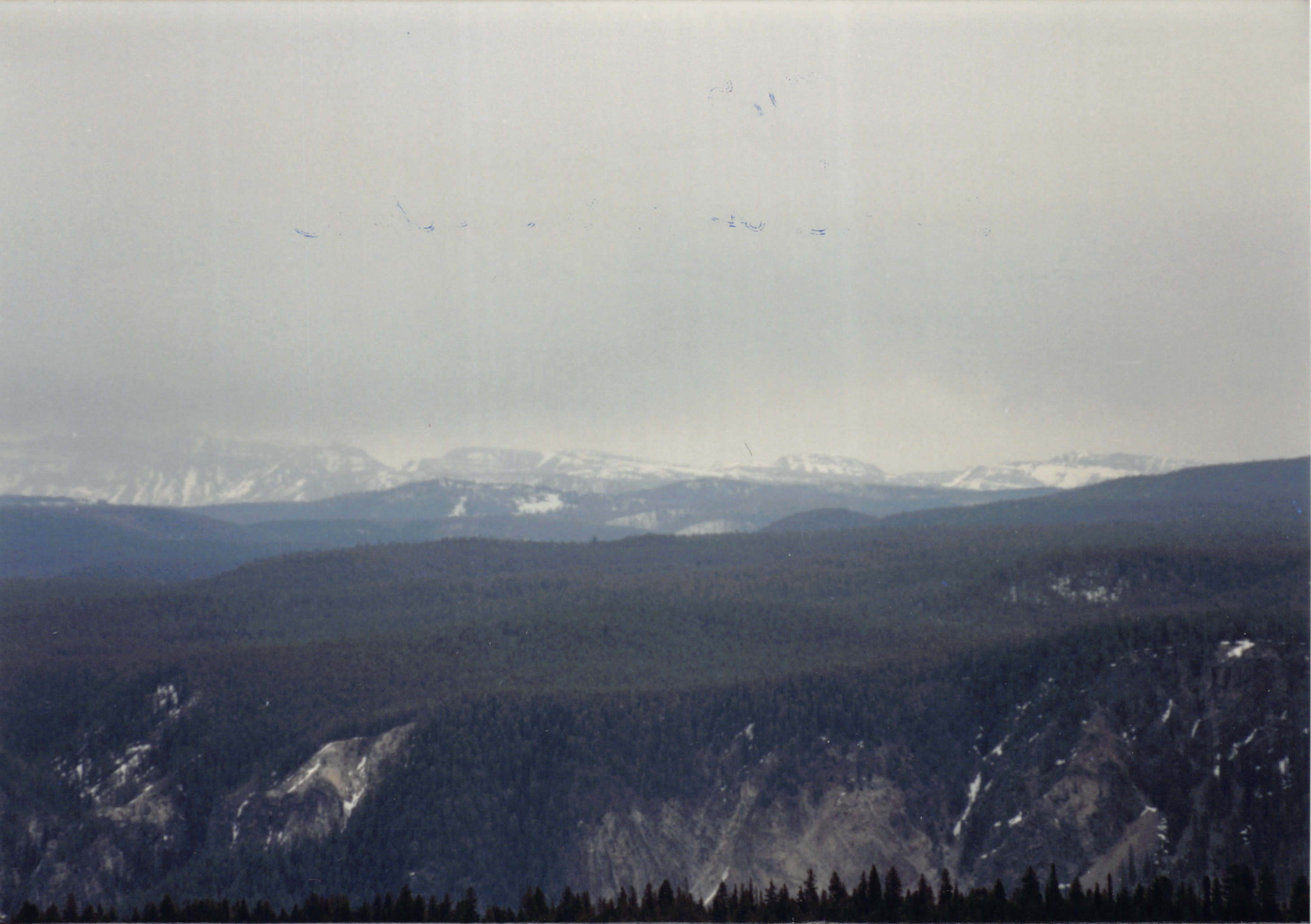 1994_Summer_403.jpg