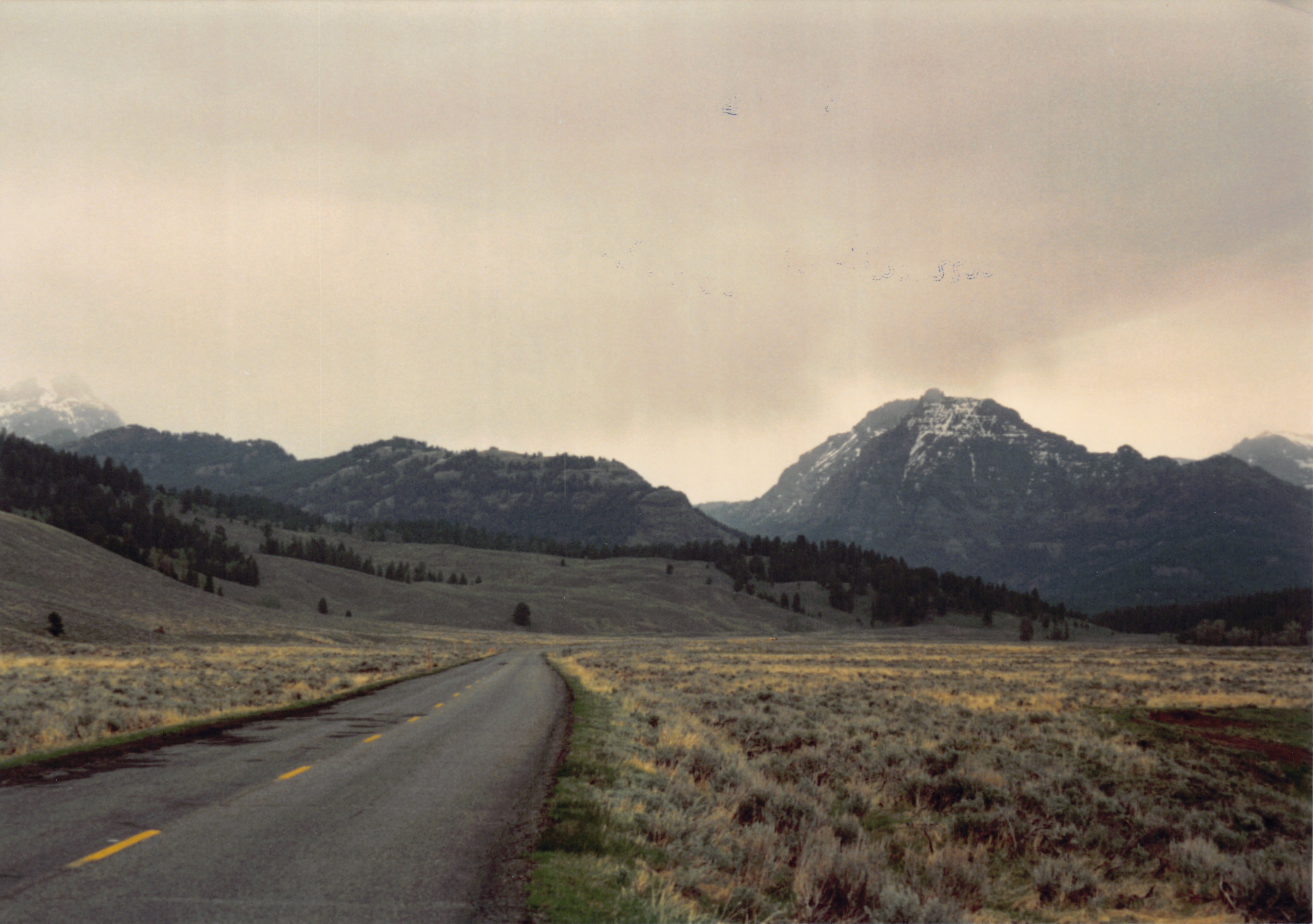 1994_Summer_405.jpg