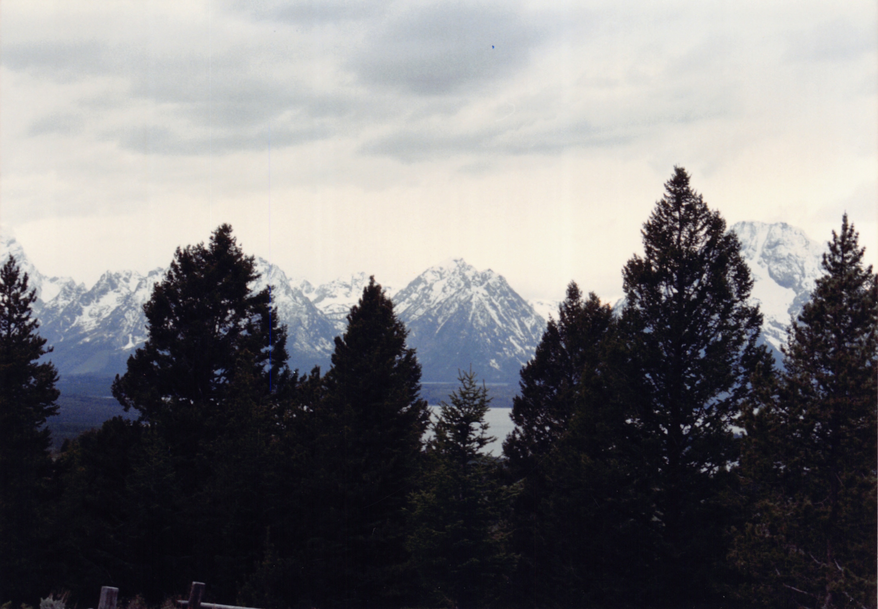 1994_Summer_423.jpg