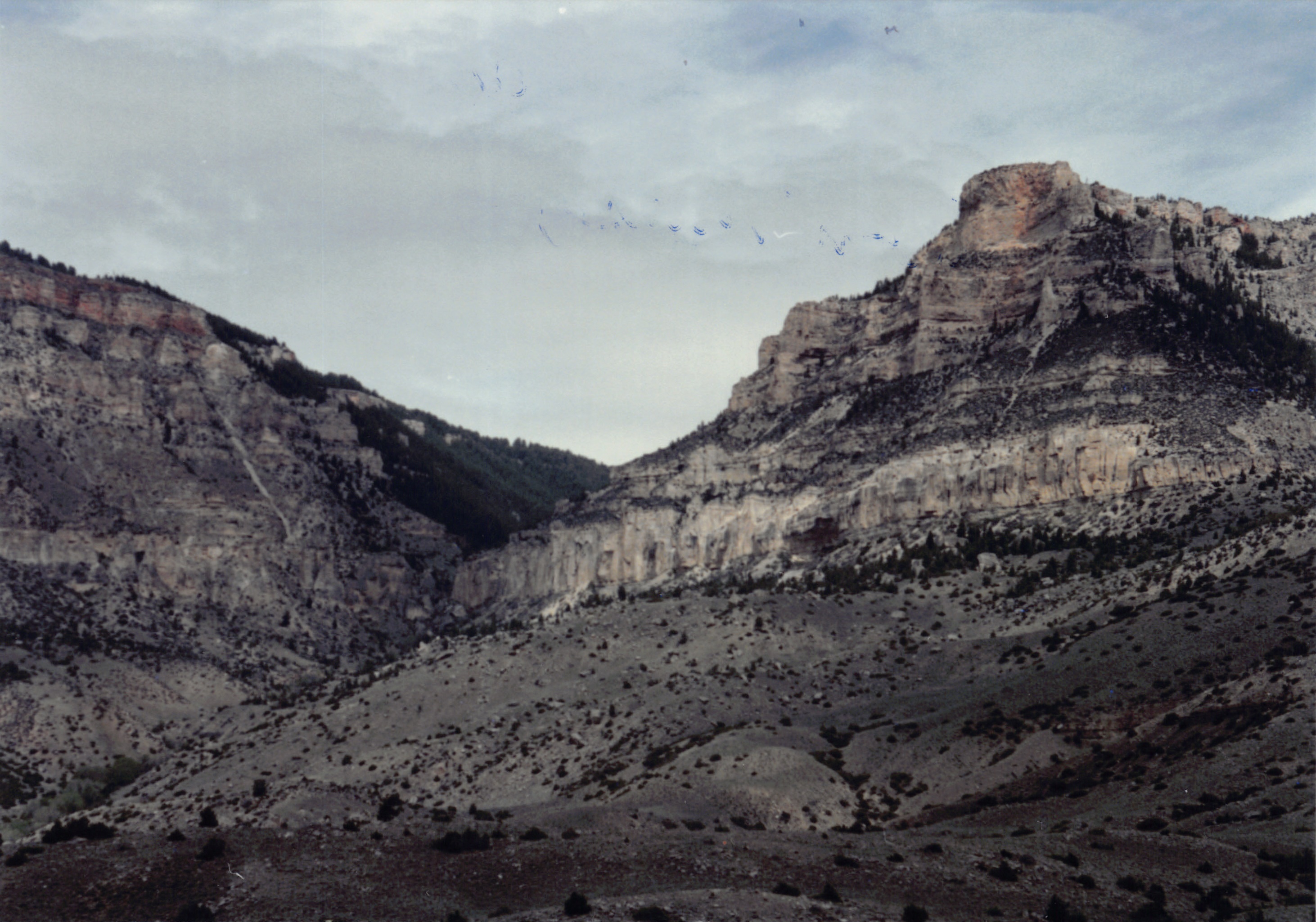 1994_Summer_435.jpg