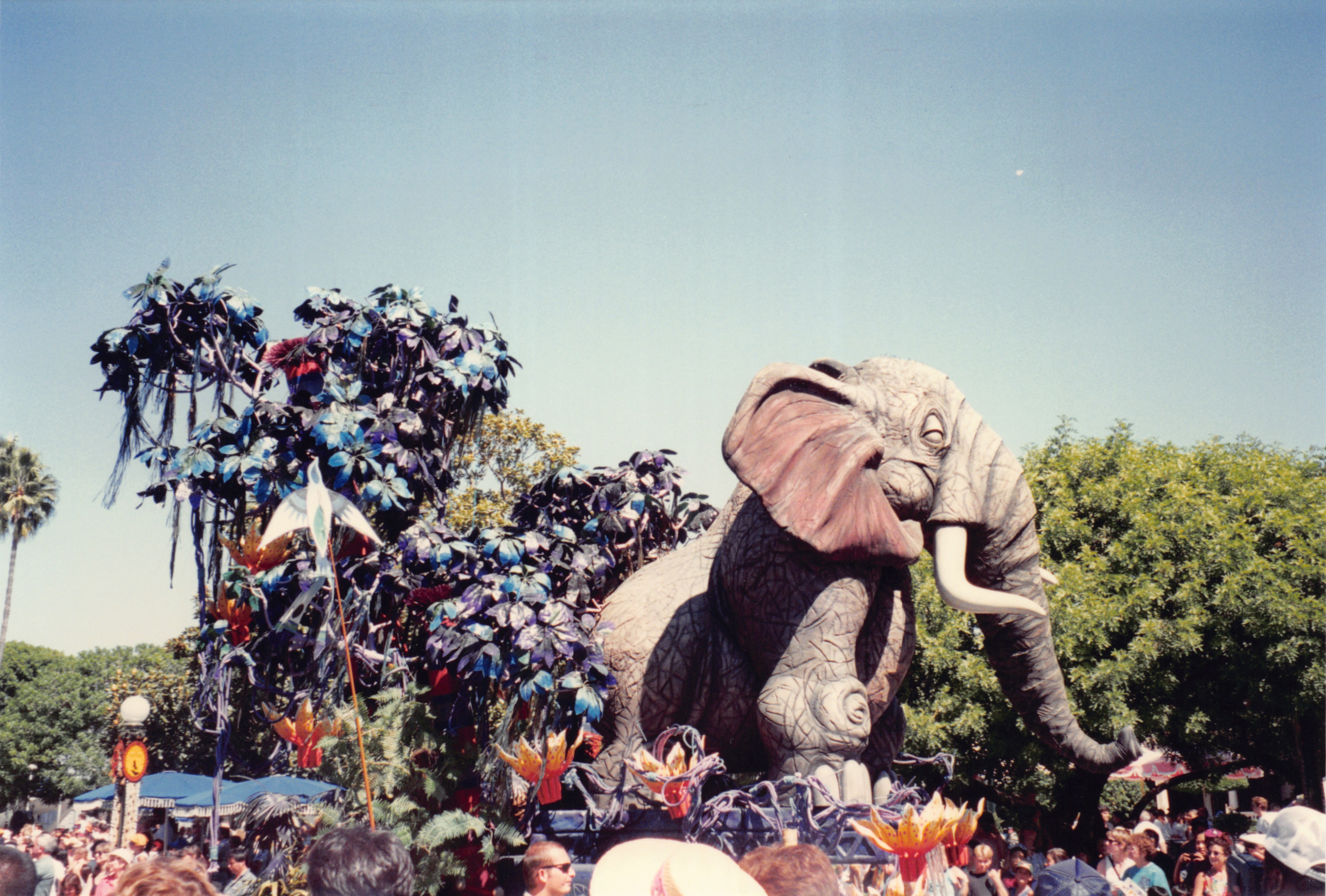 1994_Summer_441.jpg