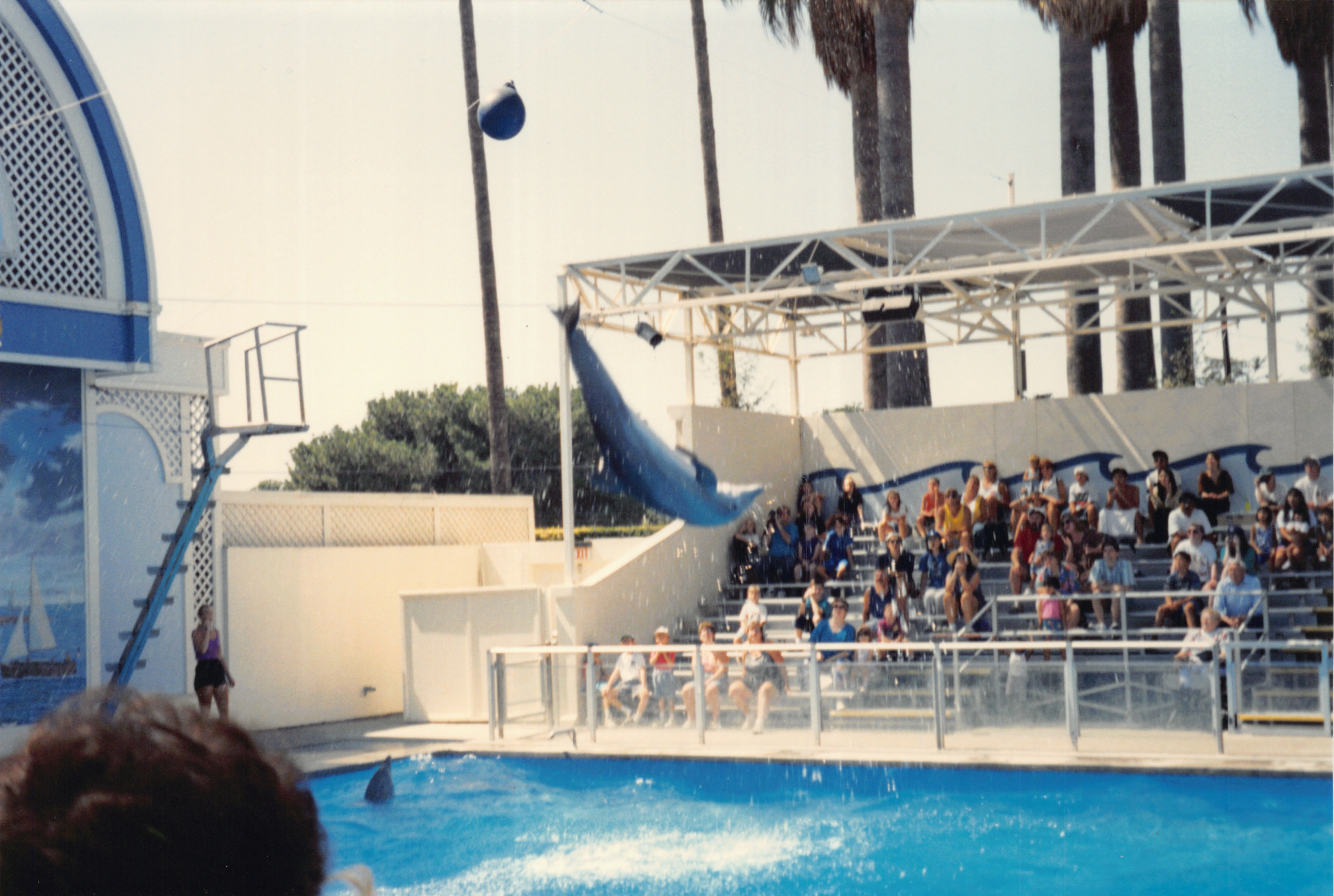 1994_Summer_464.jpg