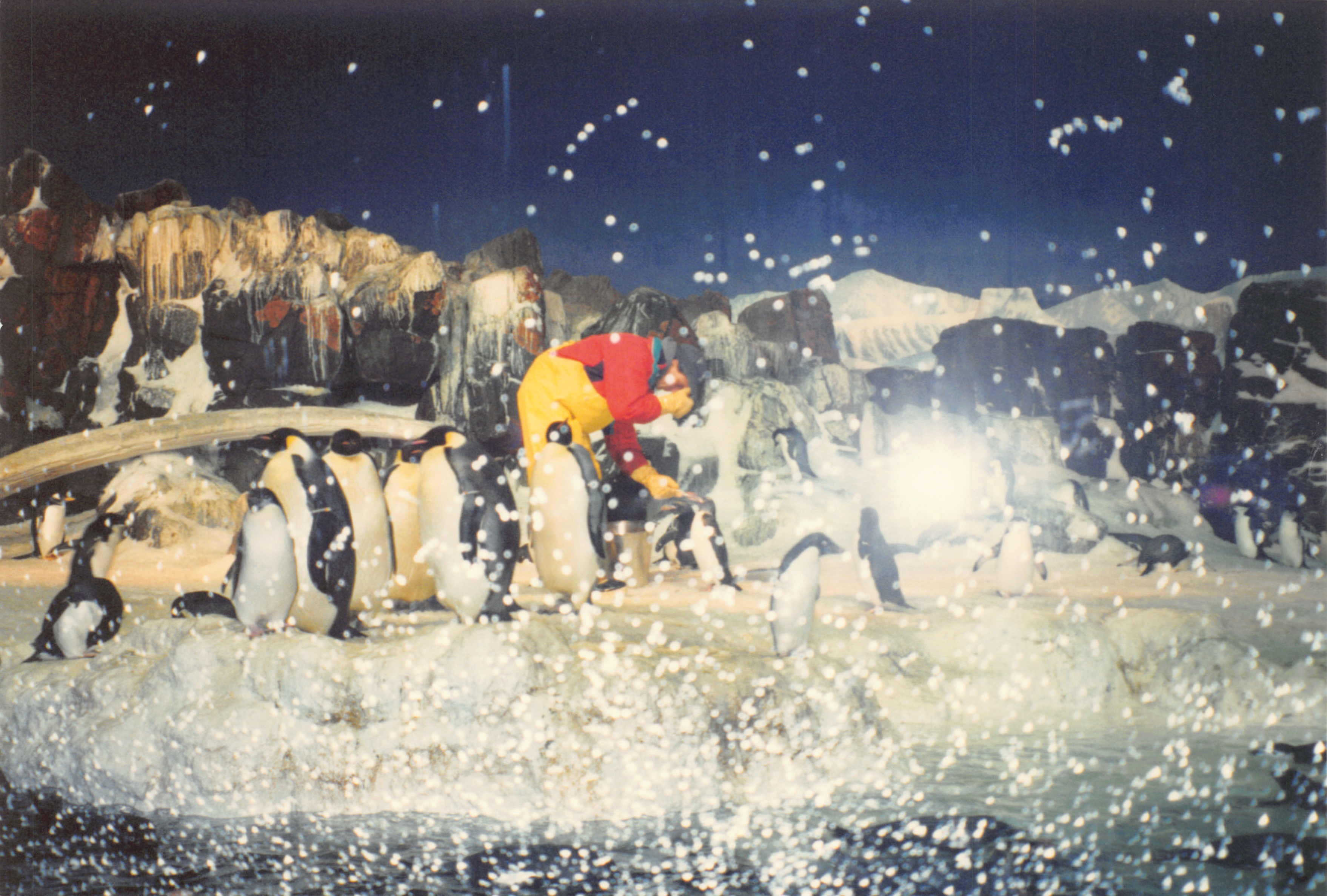 1994_Summer_472.jpg
