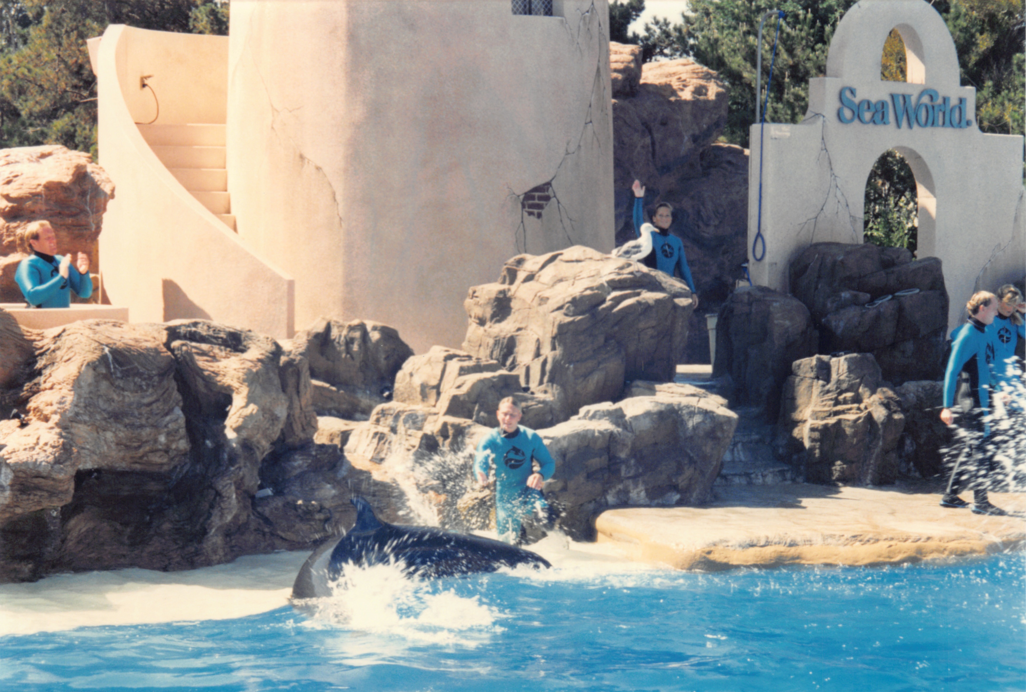 1994_Summer_480.jpg