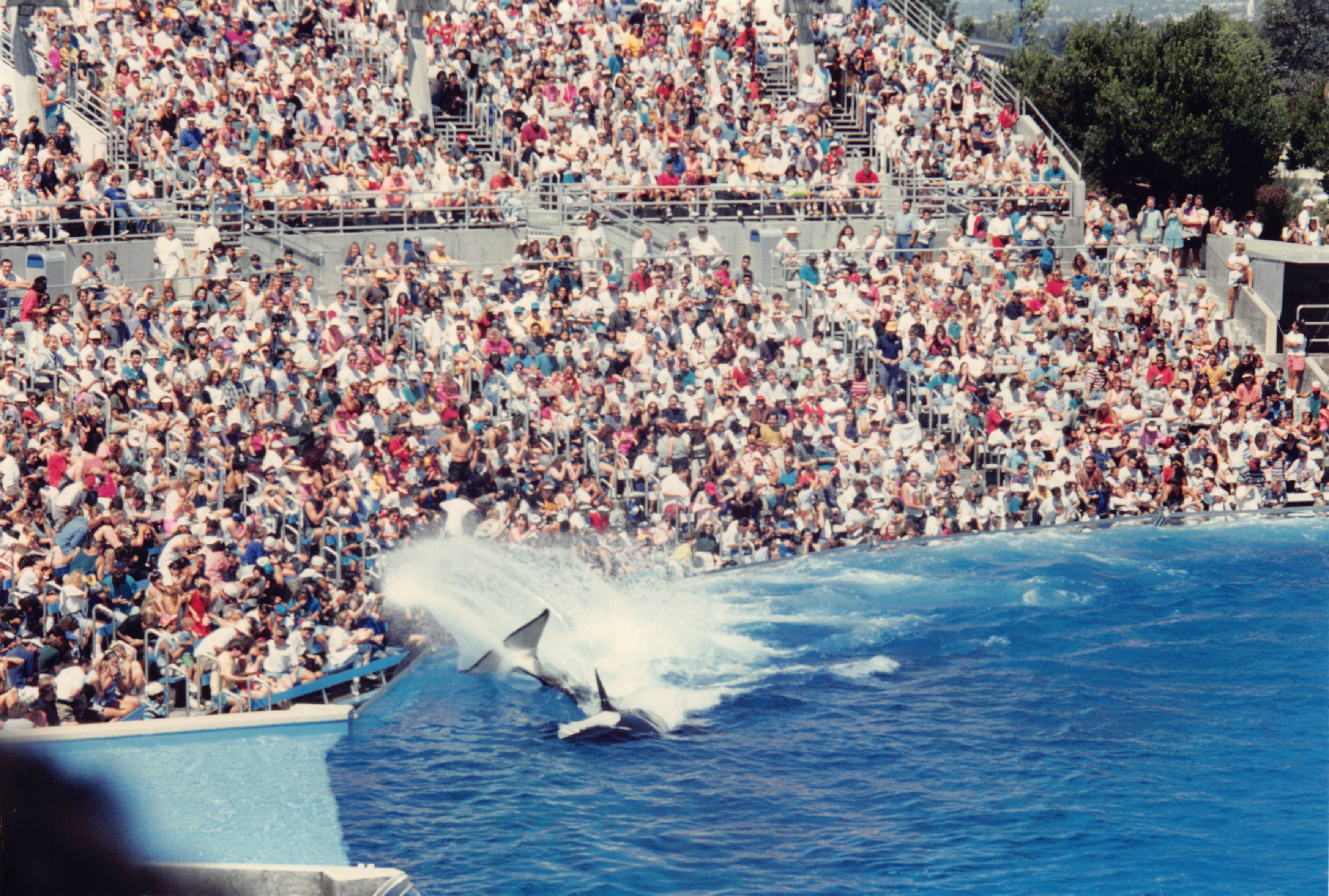1994_Summer_486.jpg