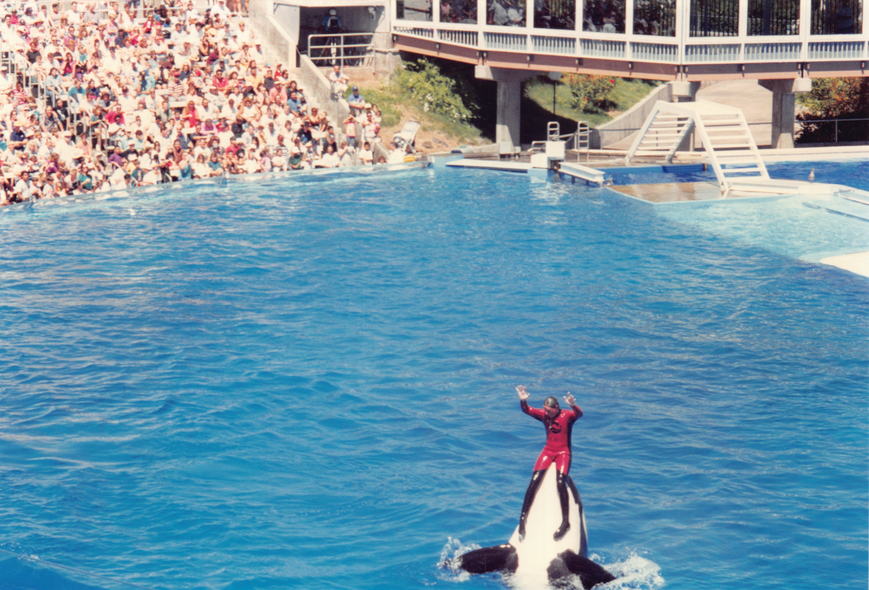 1994_Summer_488.jpg