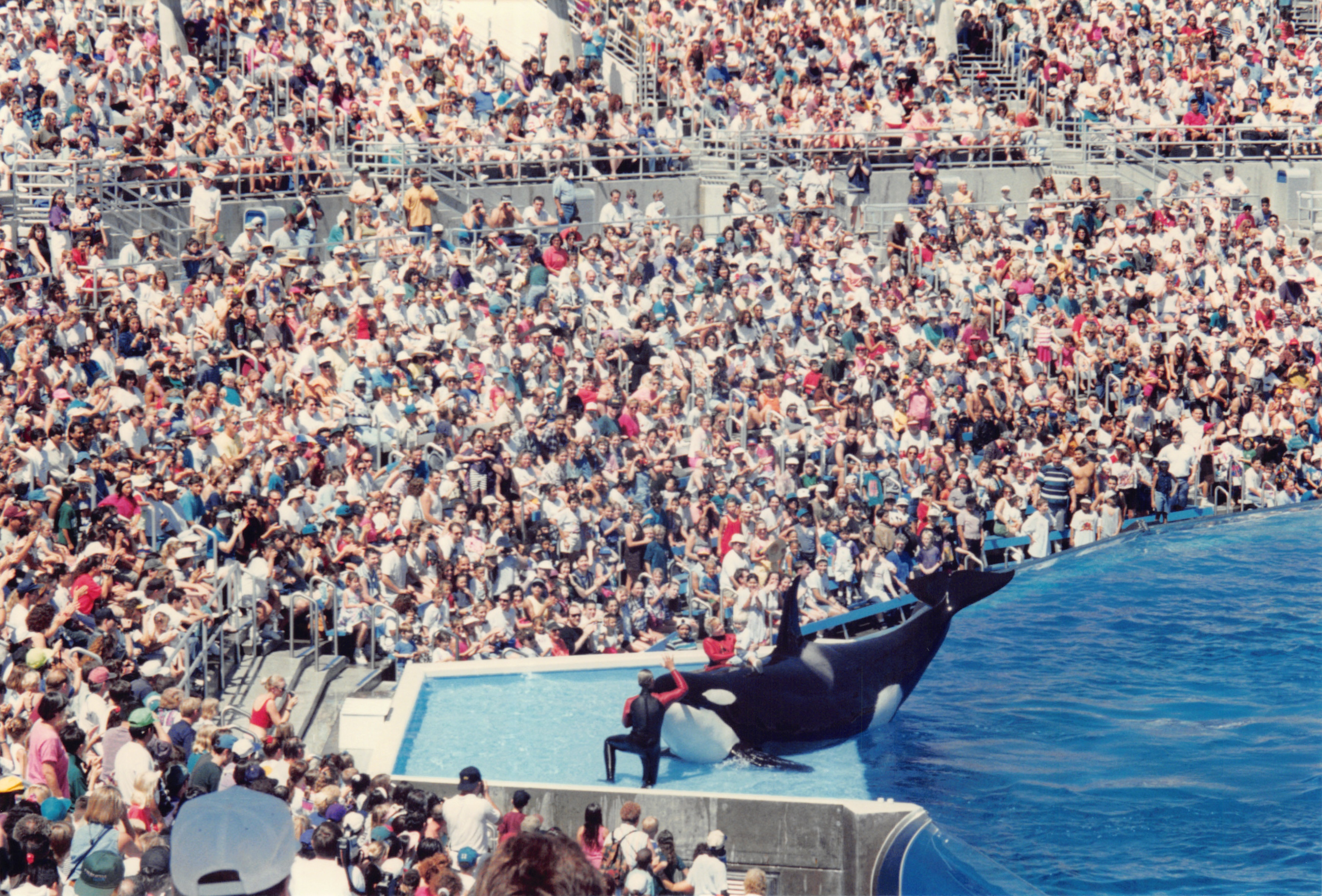 1994_Summer_490.jpg