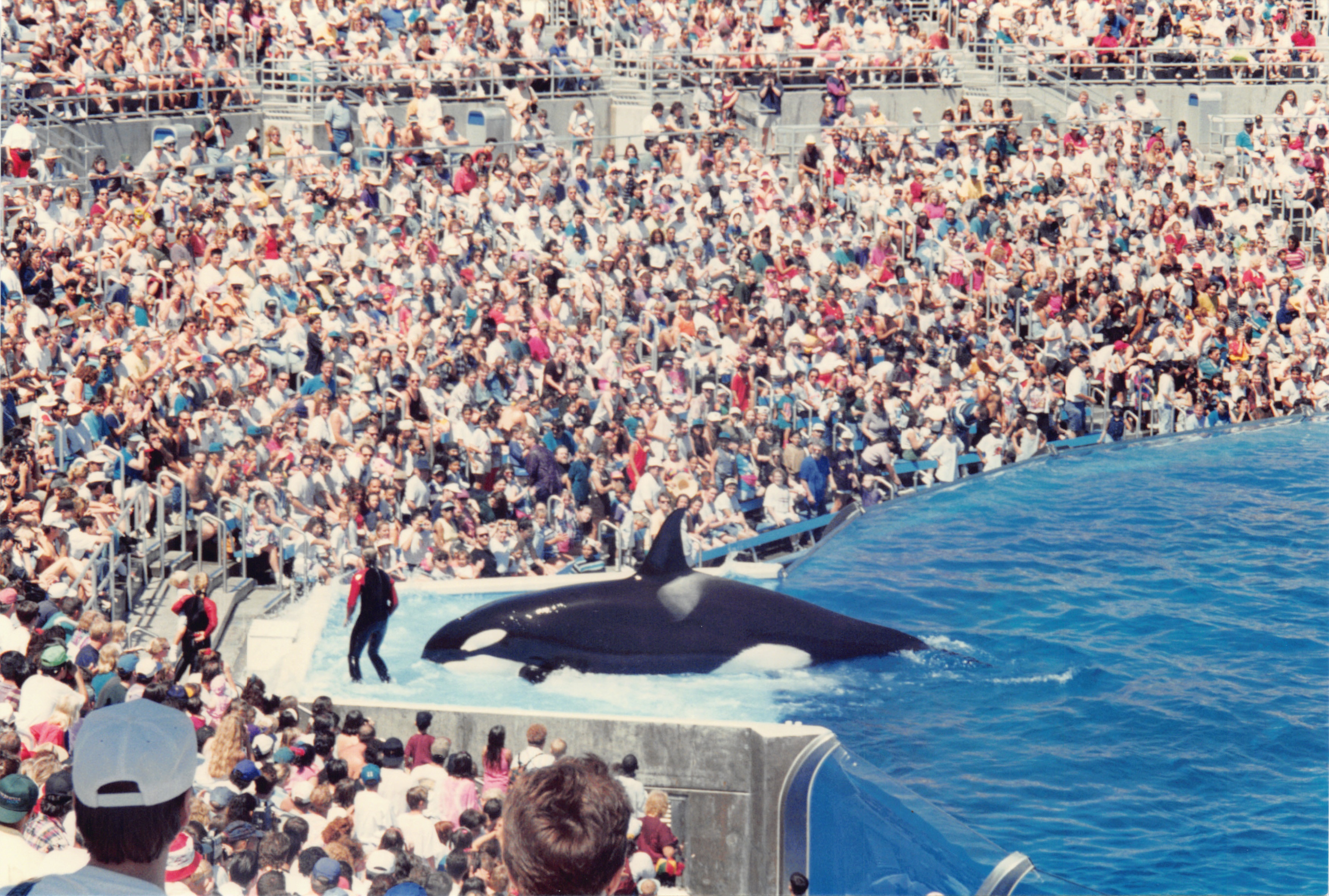 1994_Summer_492.jpg