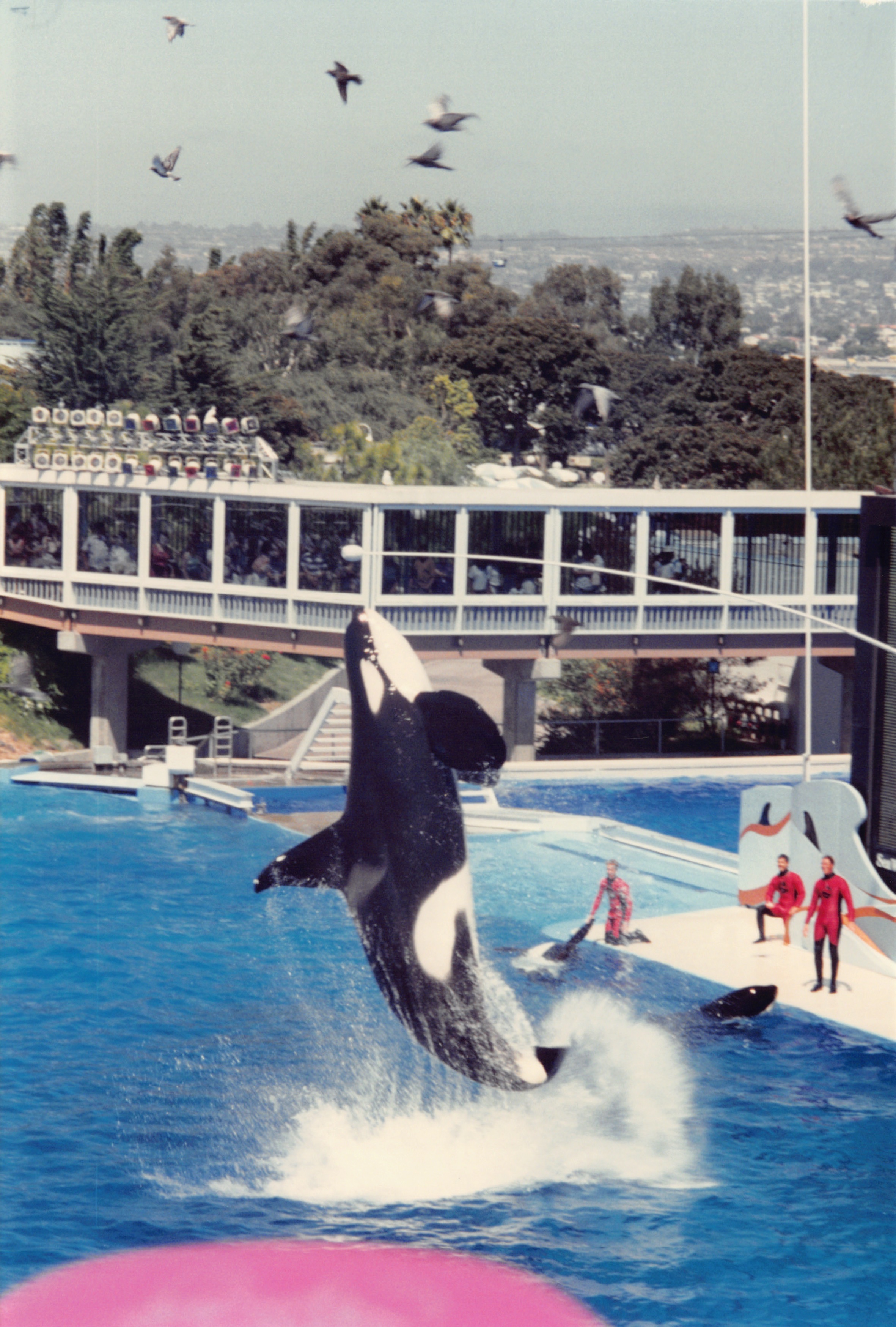 1994_Summer_494.jpg