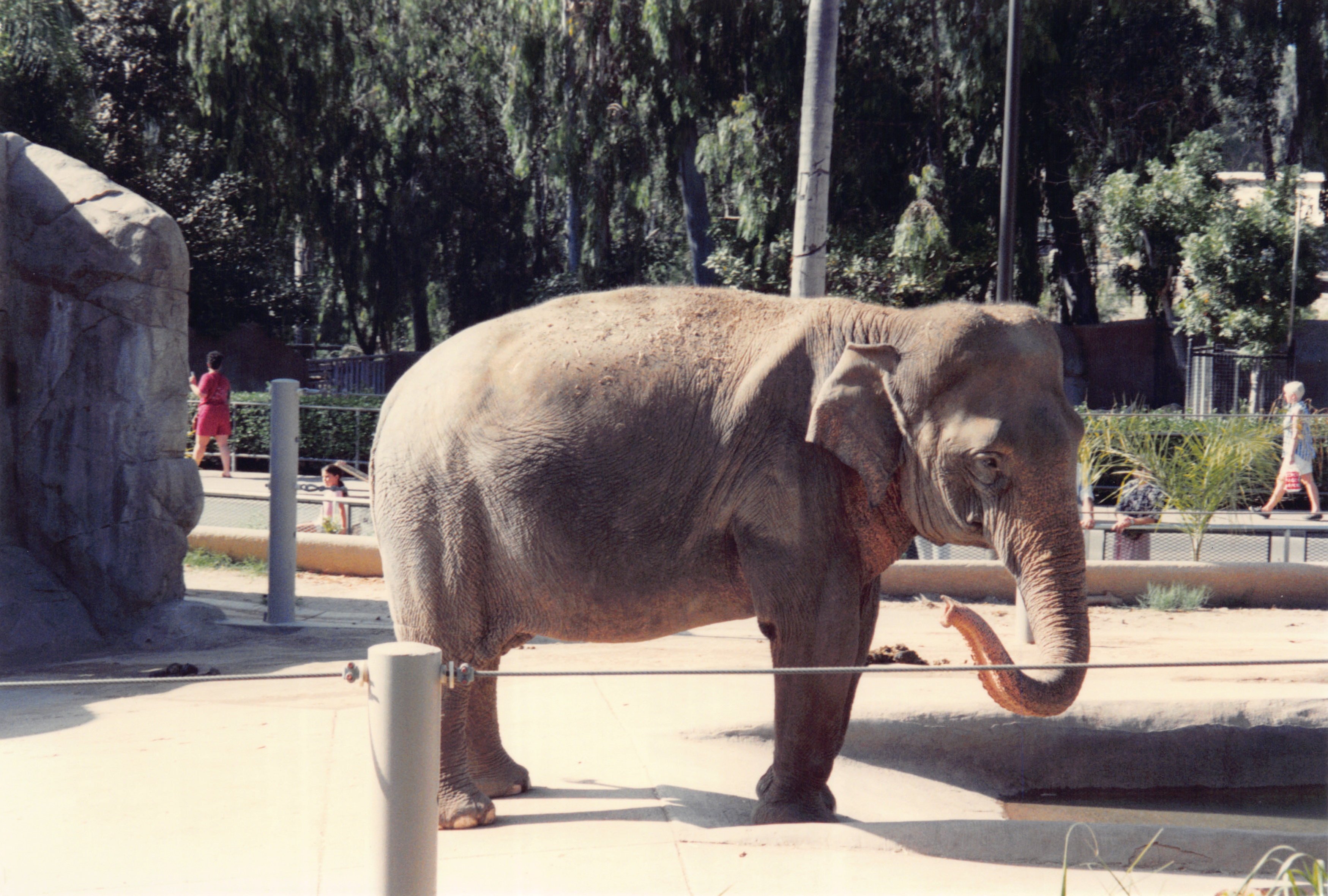 1994_Summer_510.jpg