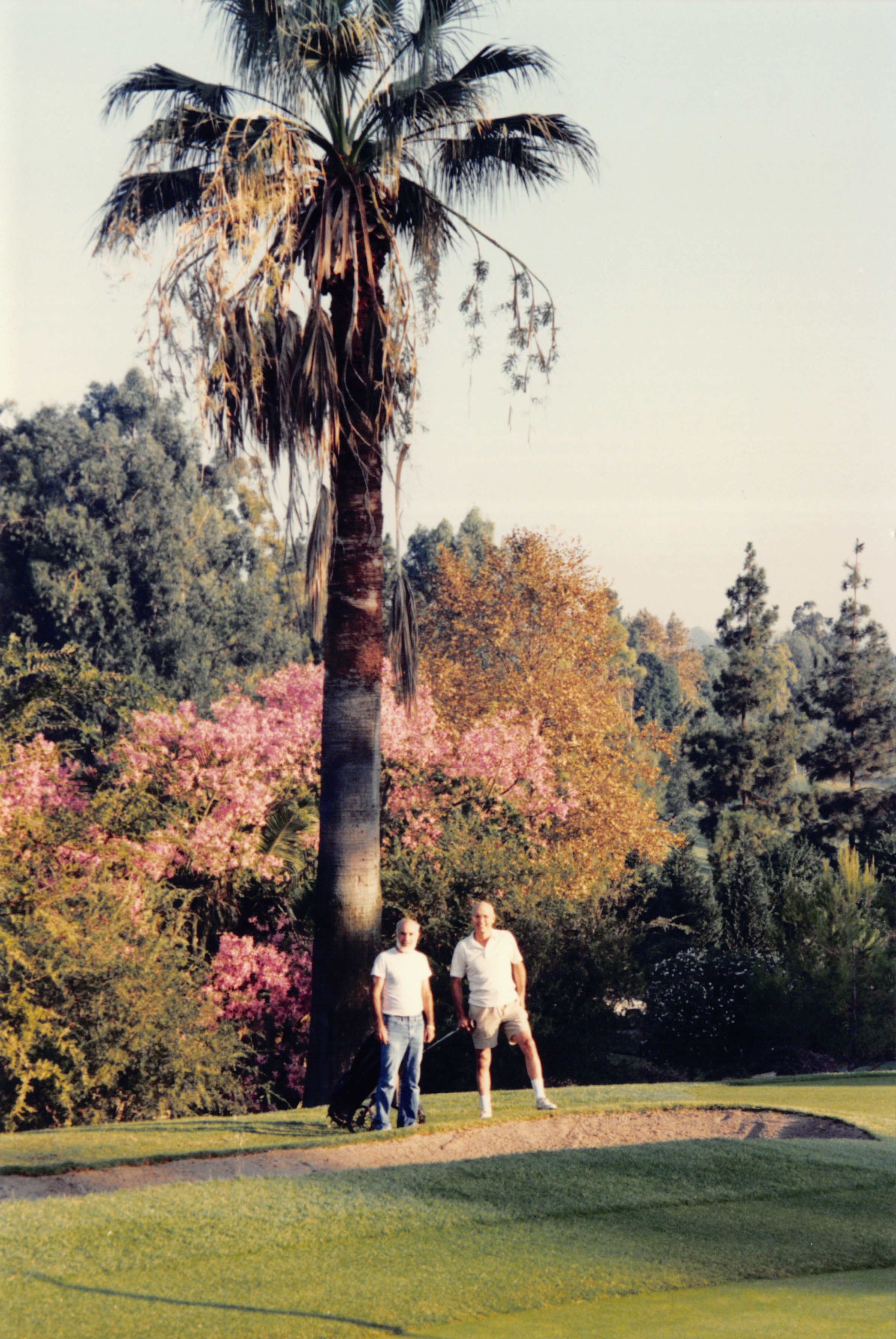 1994_Summer_550.jpg