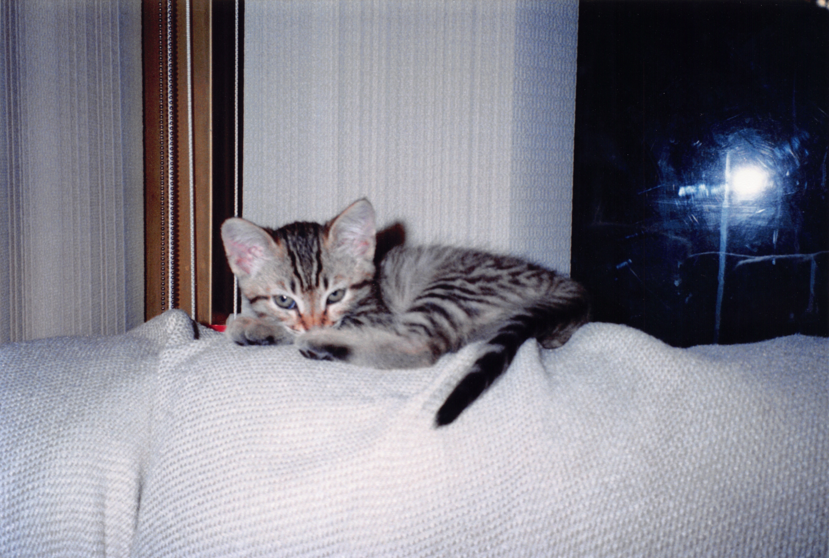 1996_283.jpg