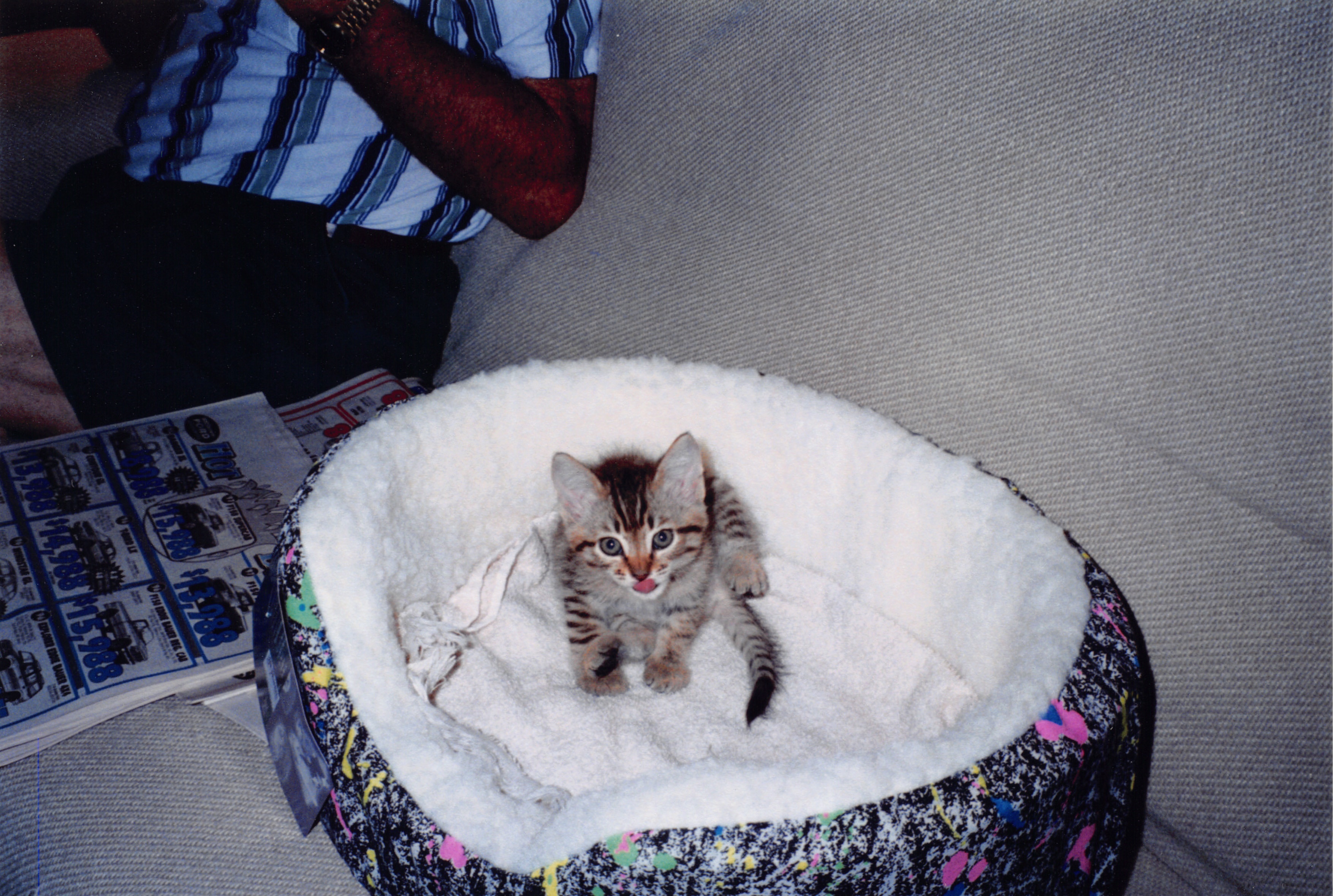 1996_303.jpg