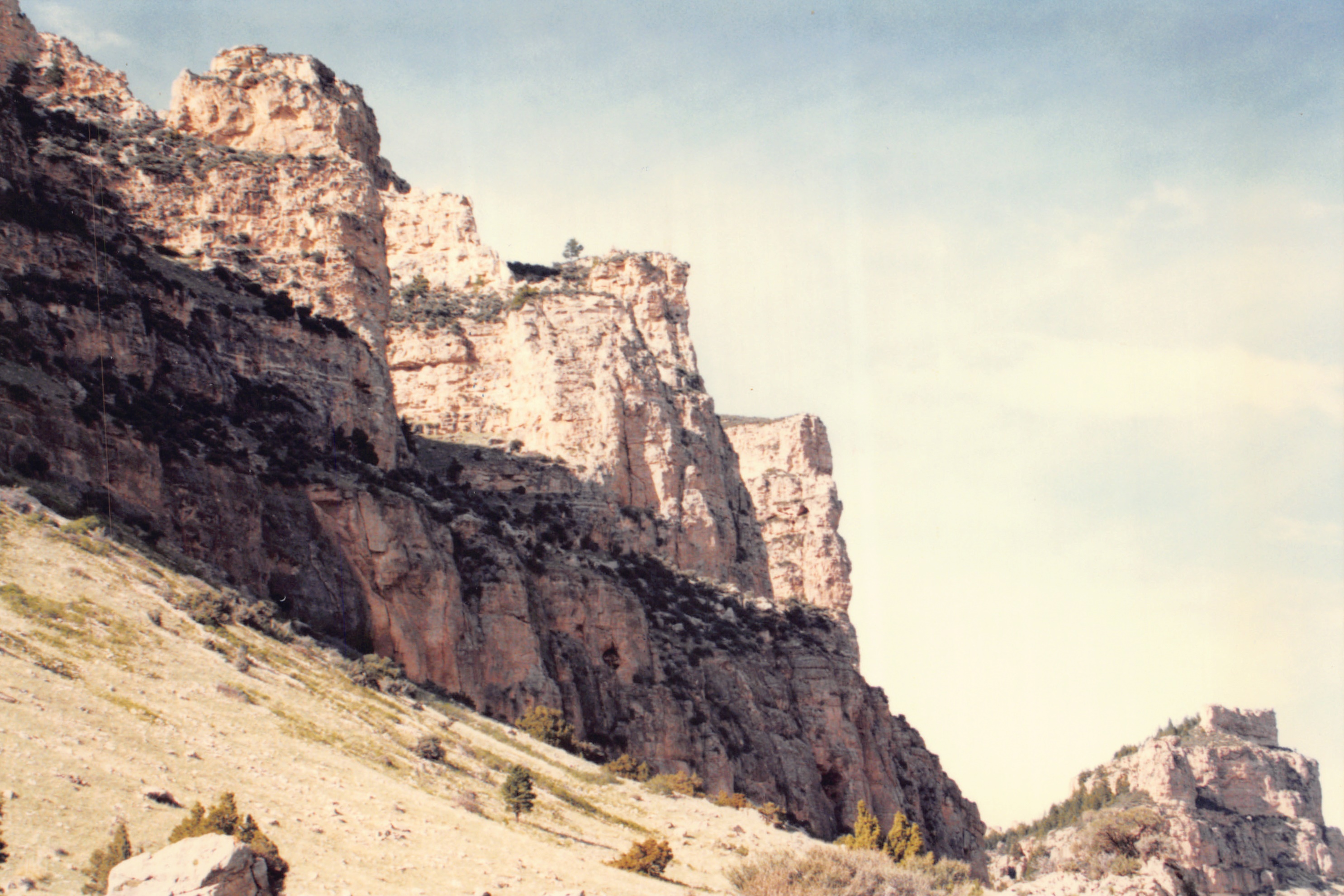 1996_309.jpg