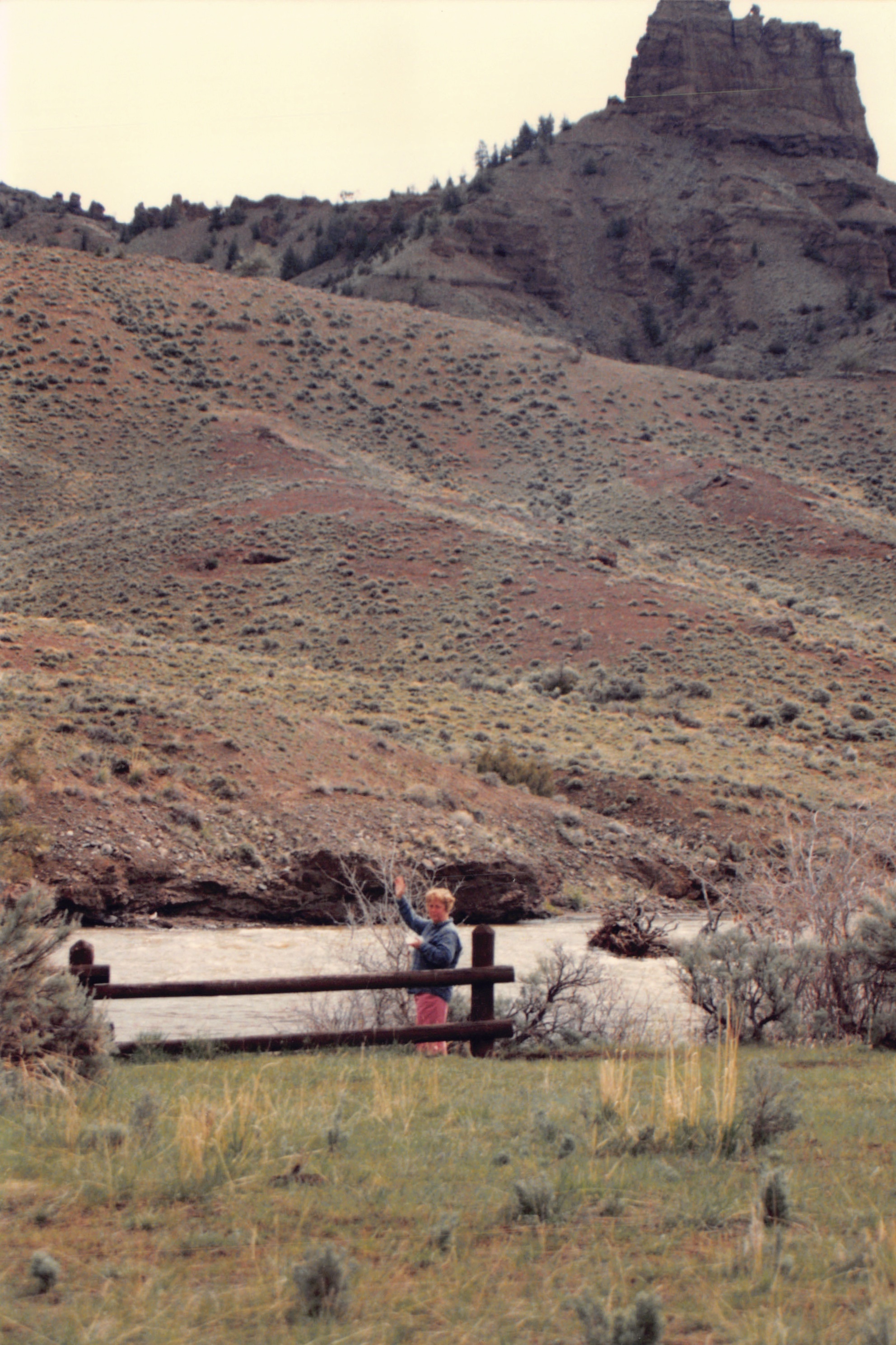 1996_311.jpg