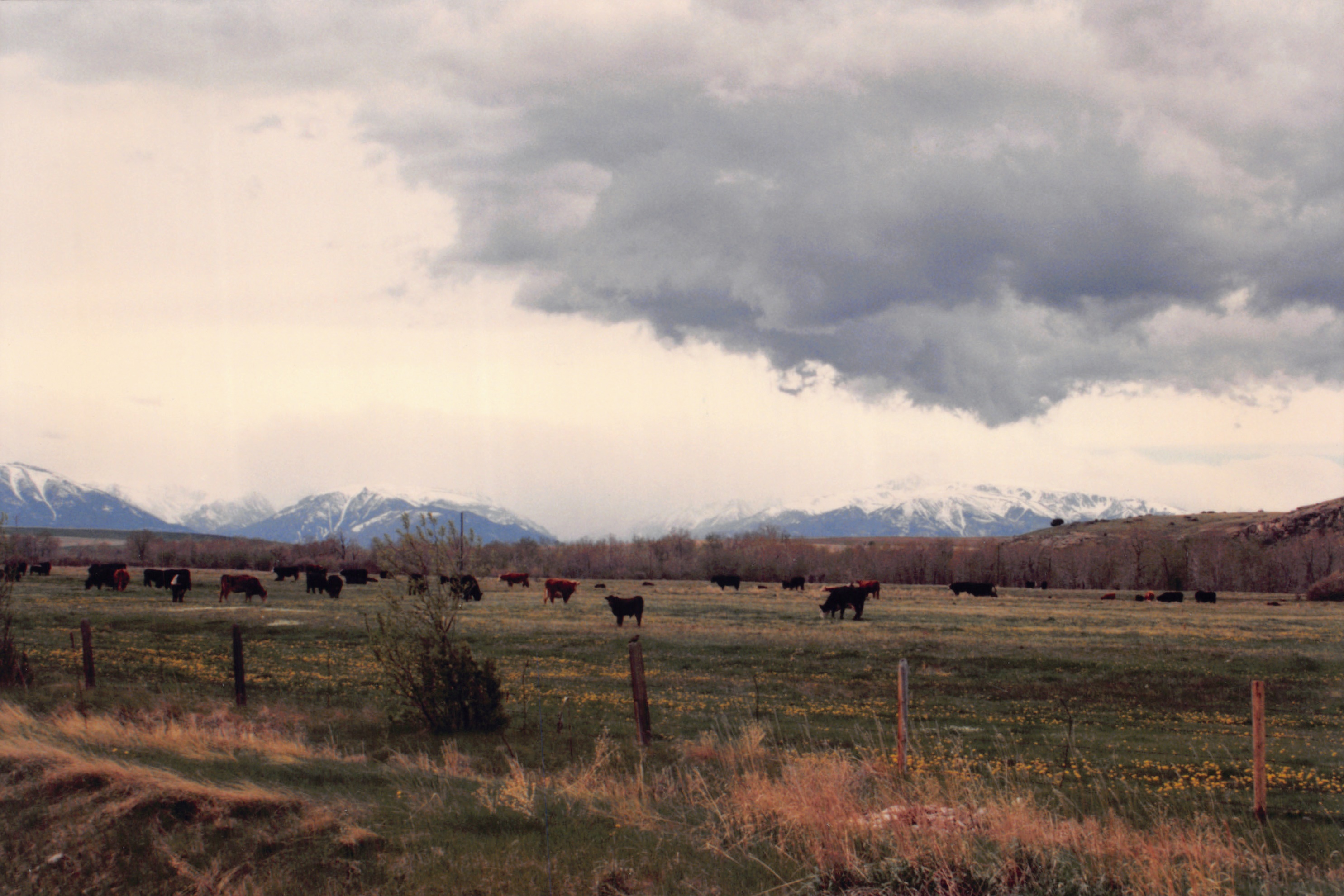 1996_313.jpg