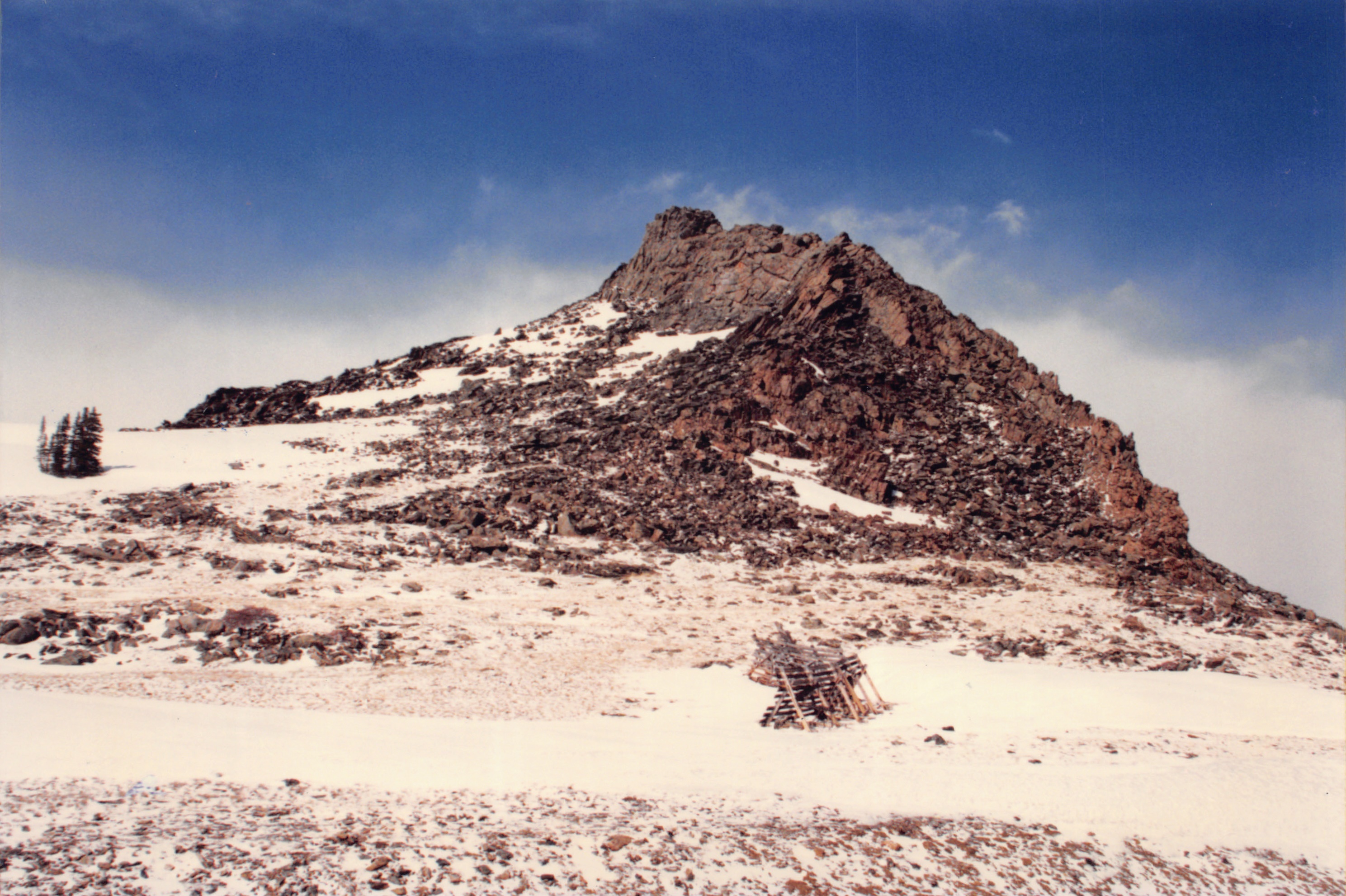 1996_321.jpg