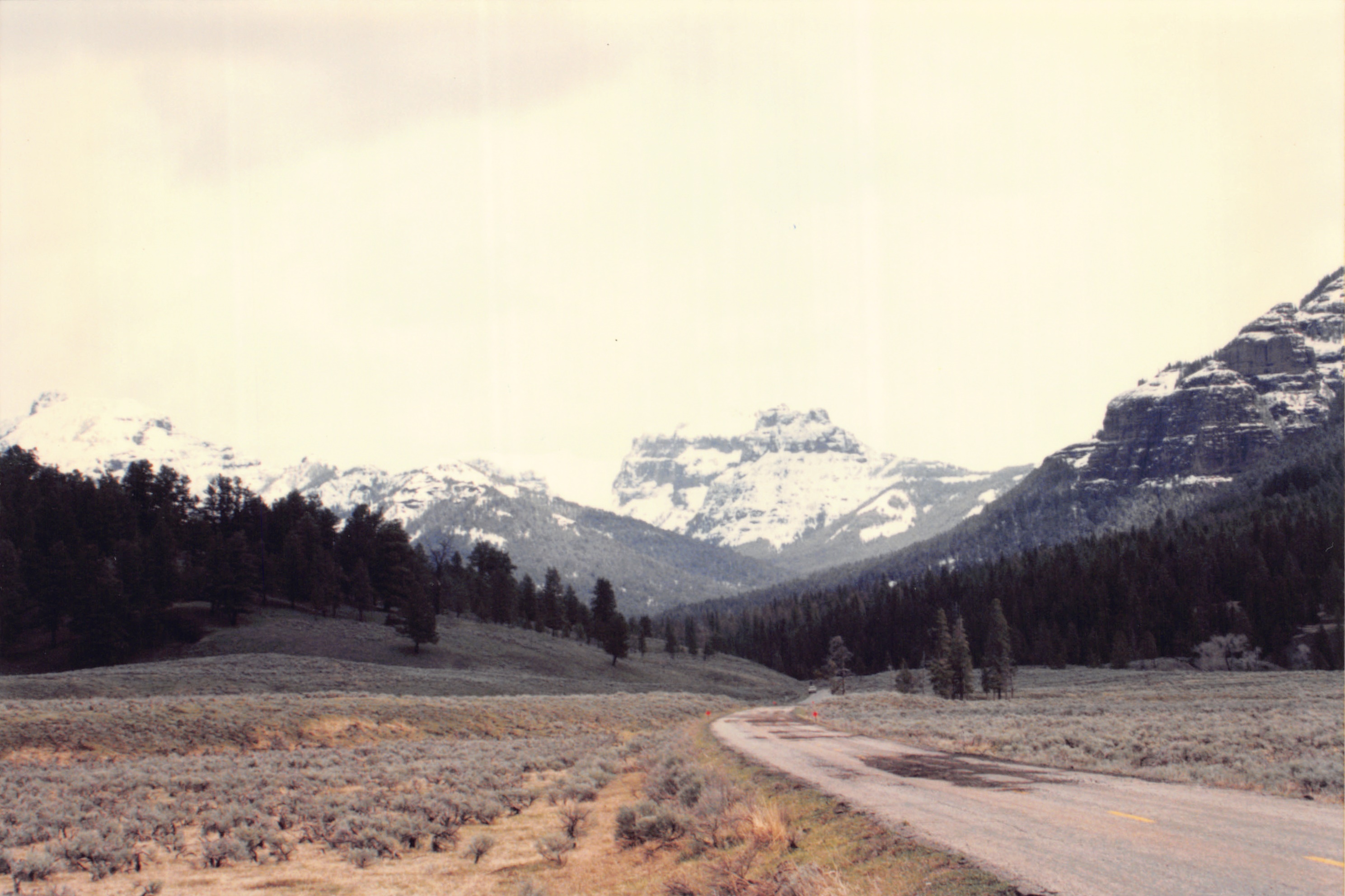 1996_337.jpg