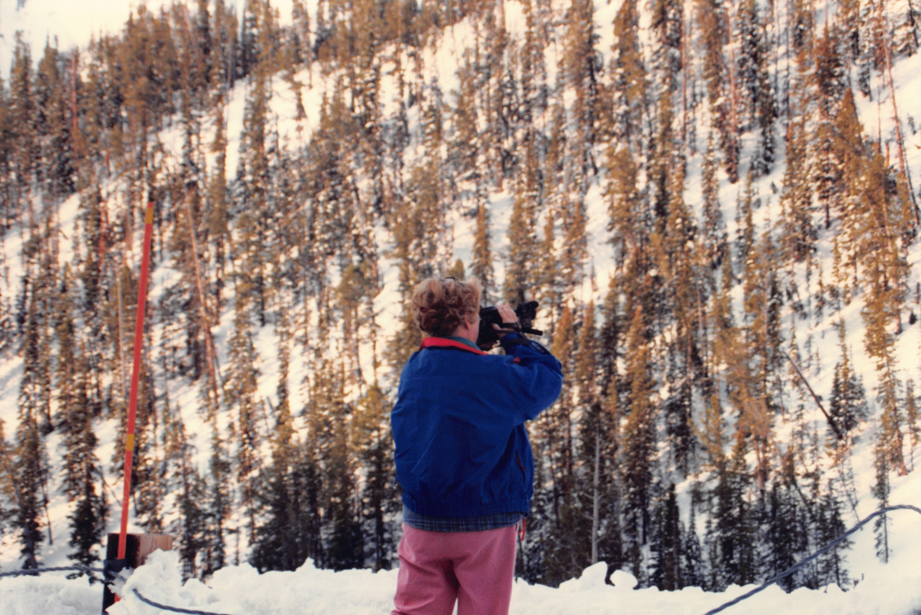 1996_349.jpg