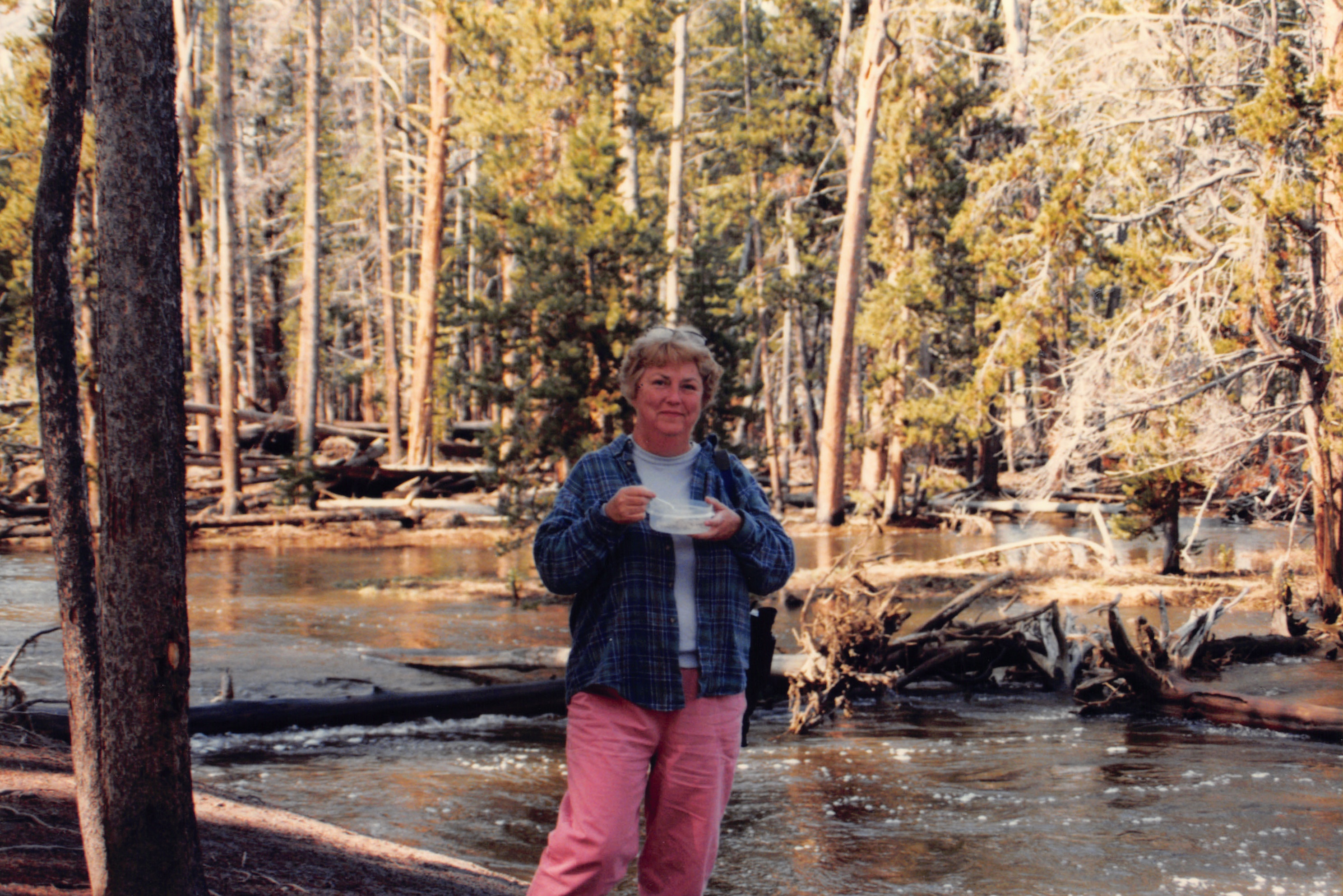 1996_351.jpg