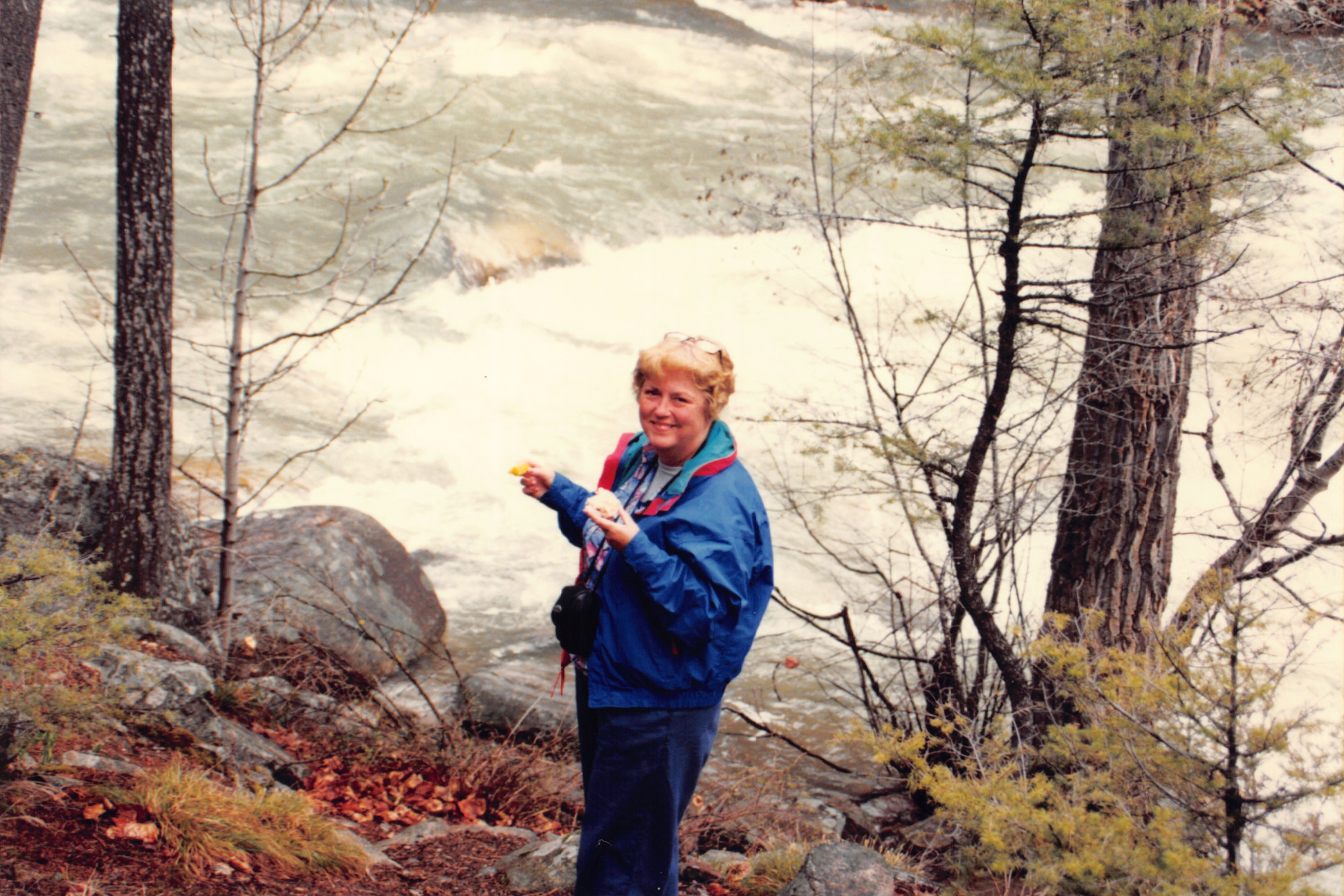 1996_355.jpg