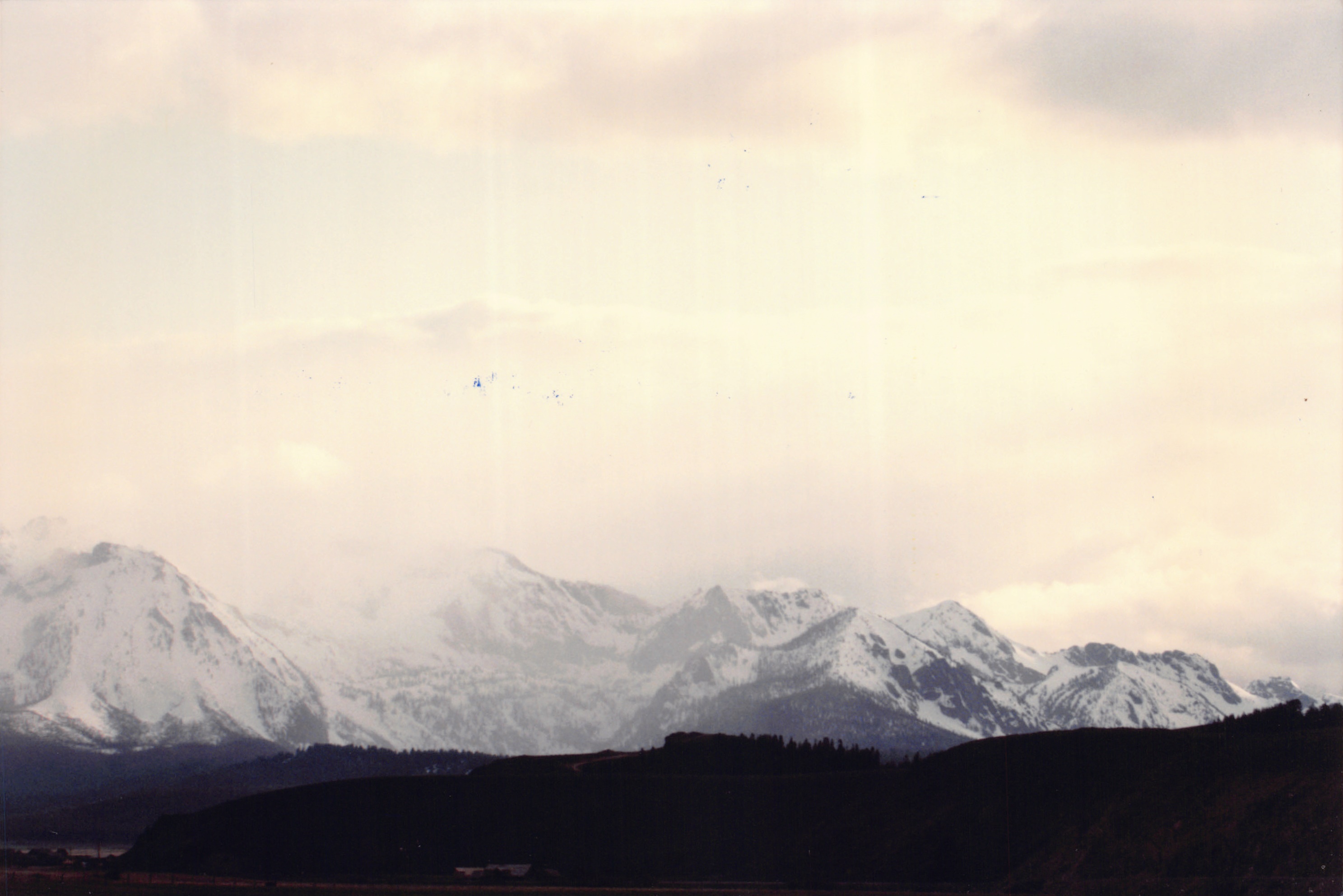 1996_361.jpg