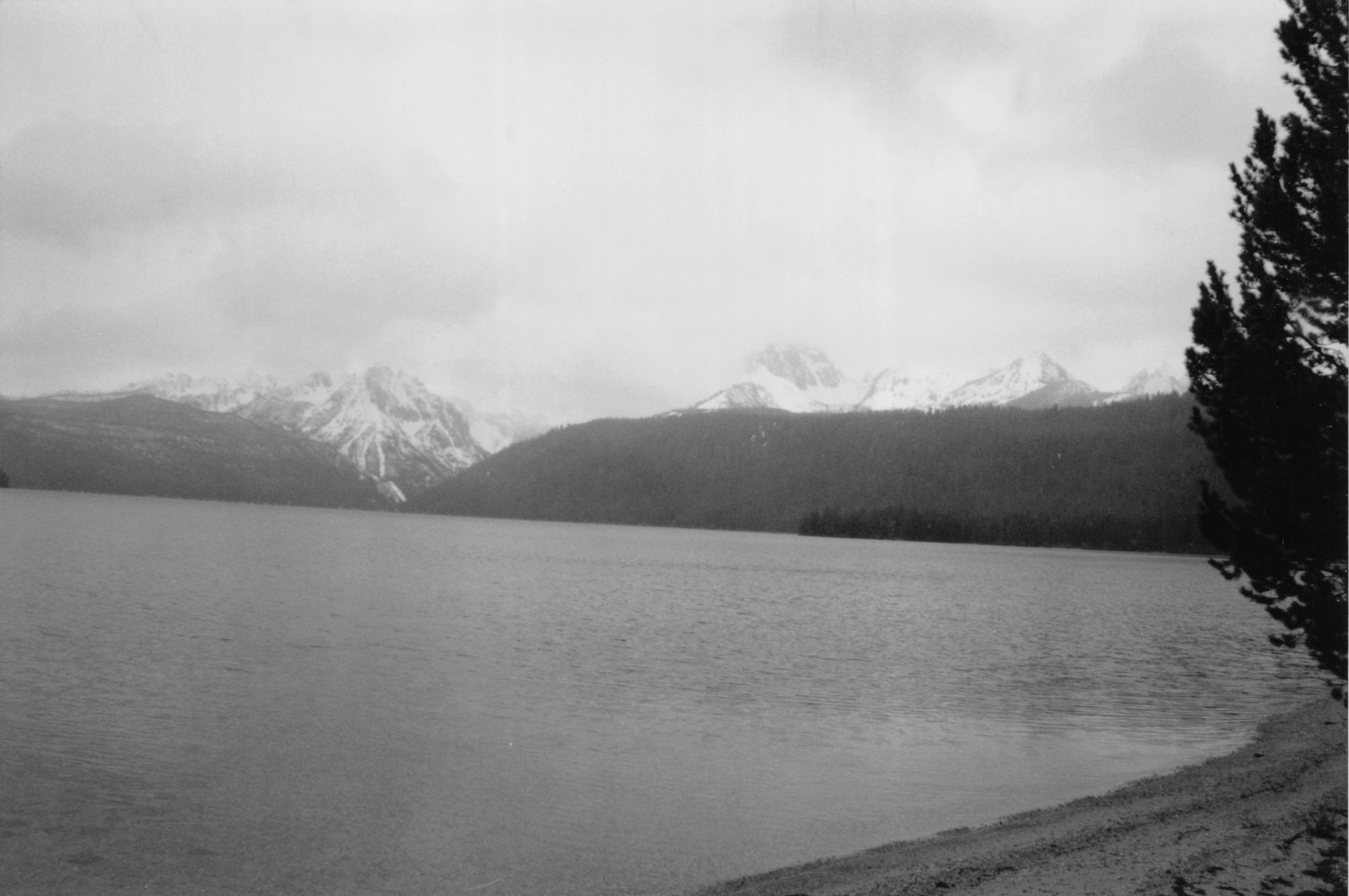 1996_363.jpg