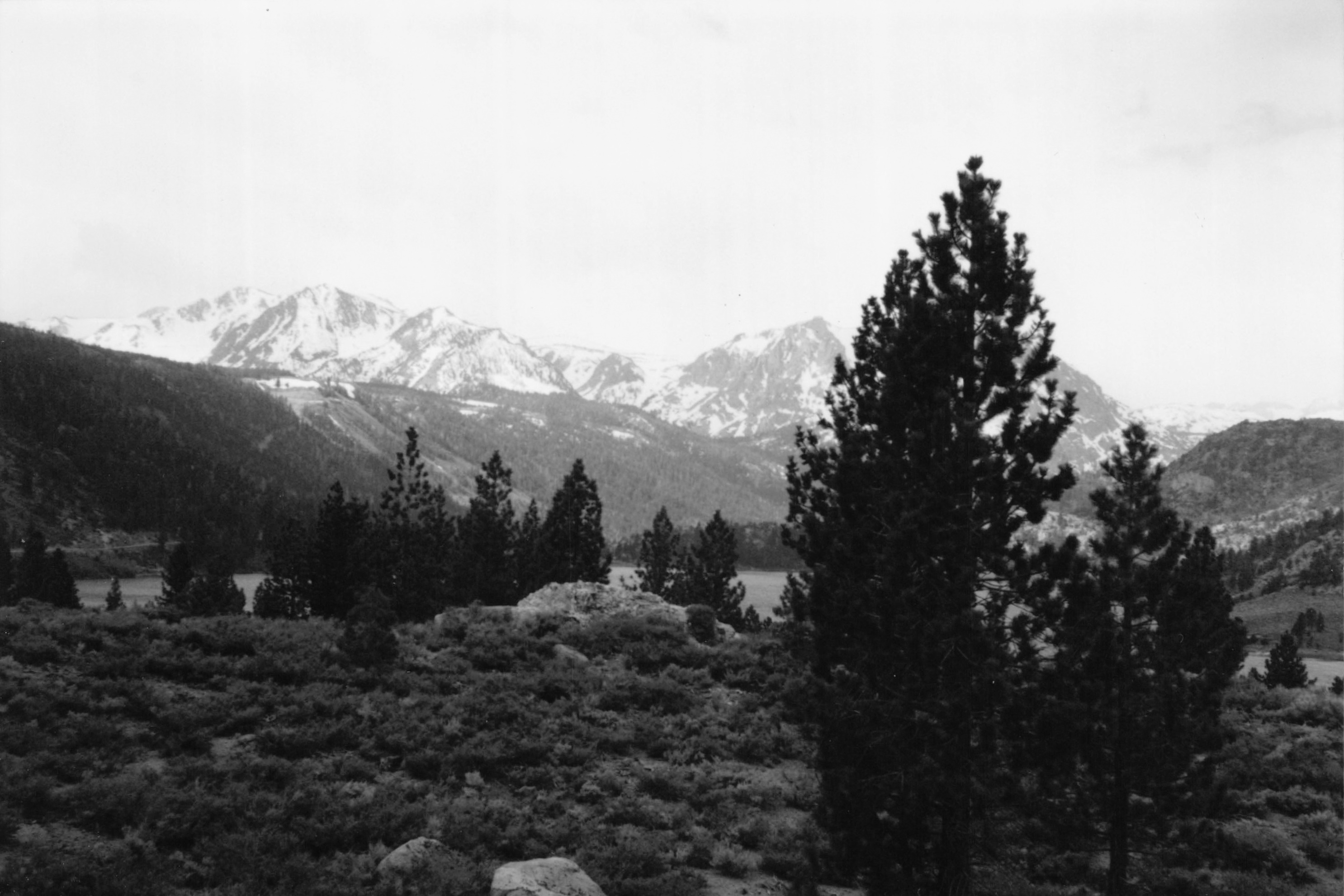 1996_367.jpg