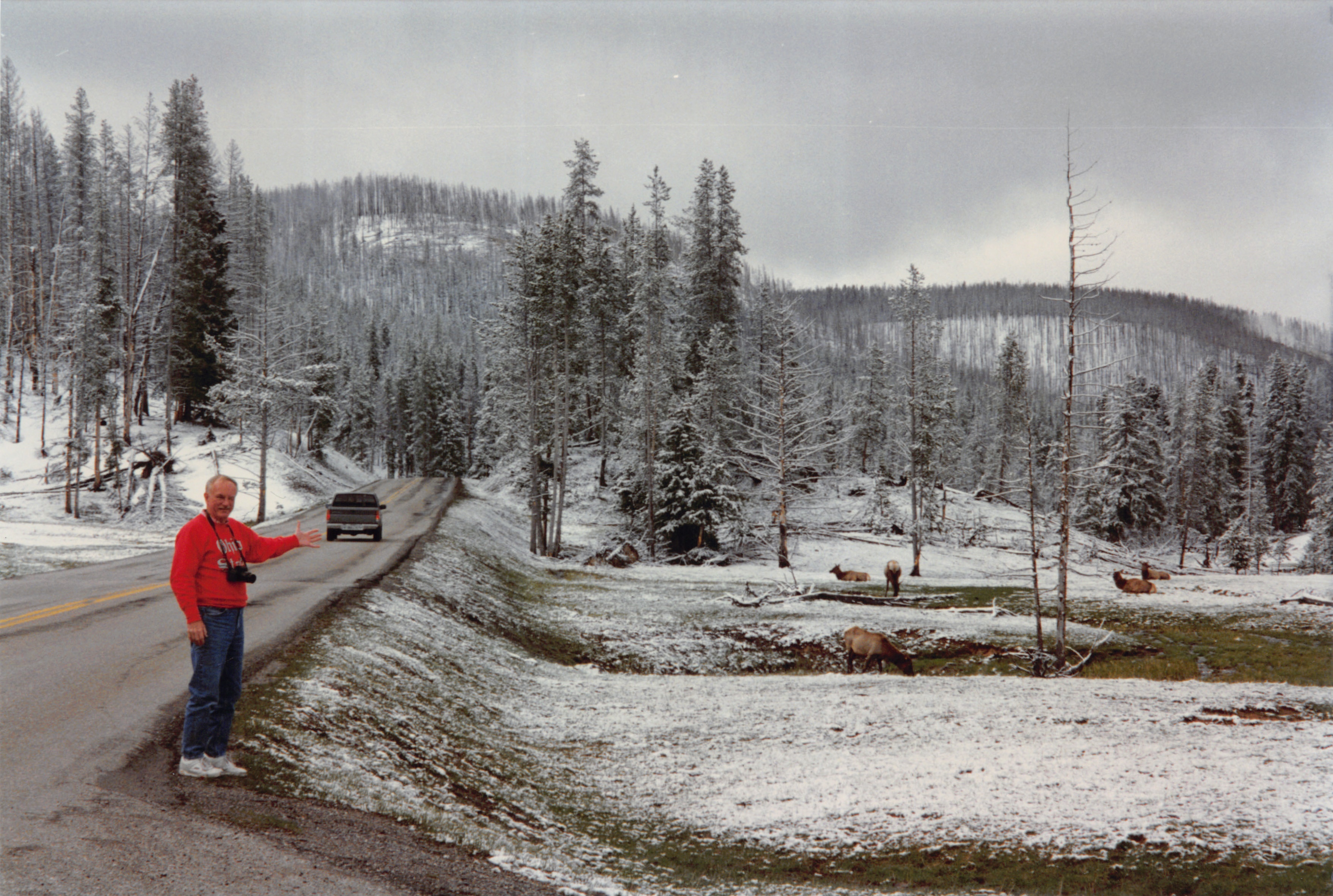 1996_378.jpg