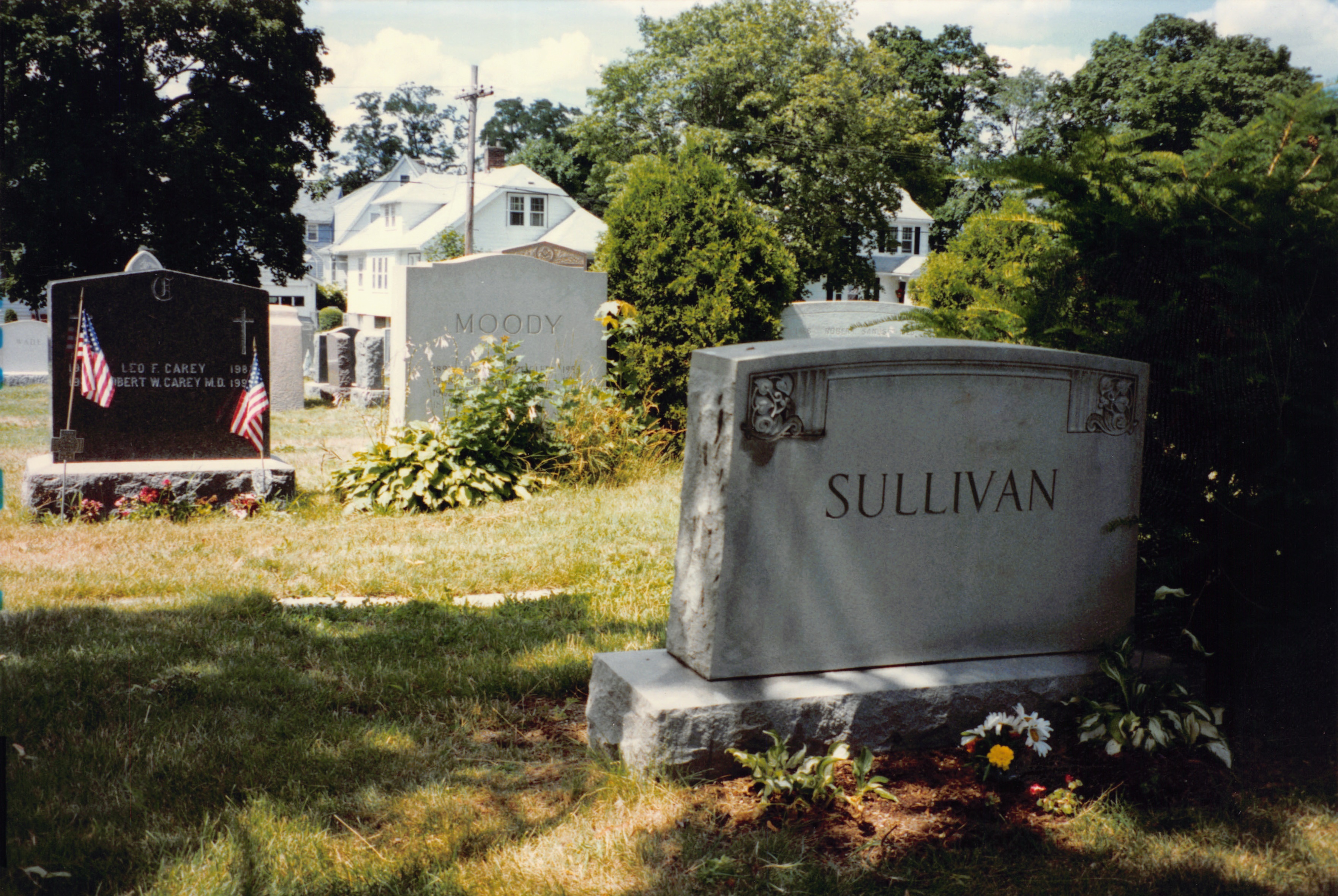 1996_416.jpg