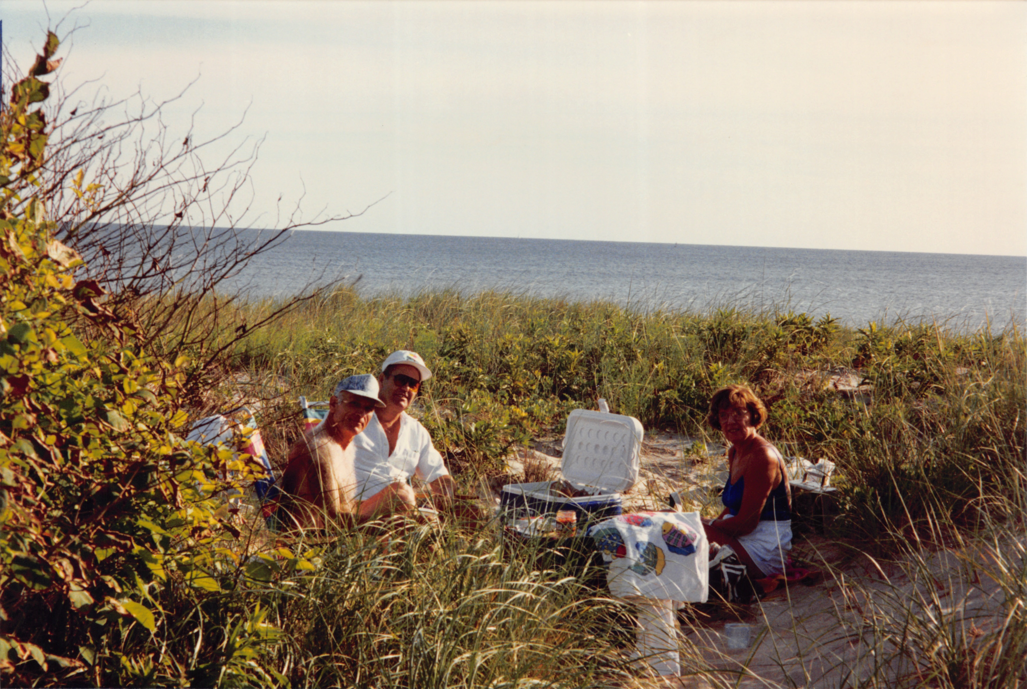 1996_520.jpg
