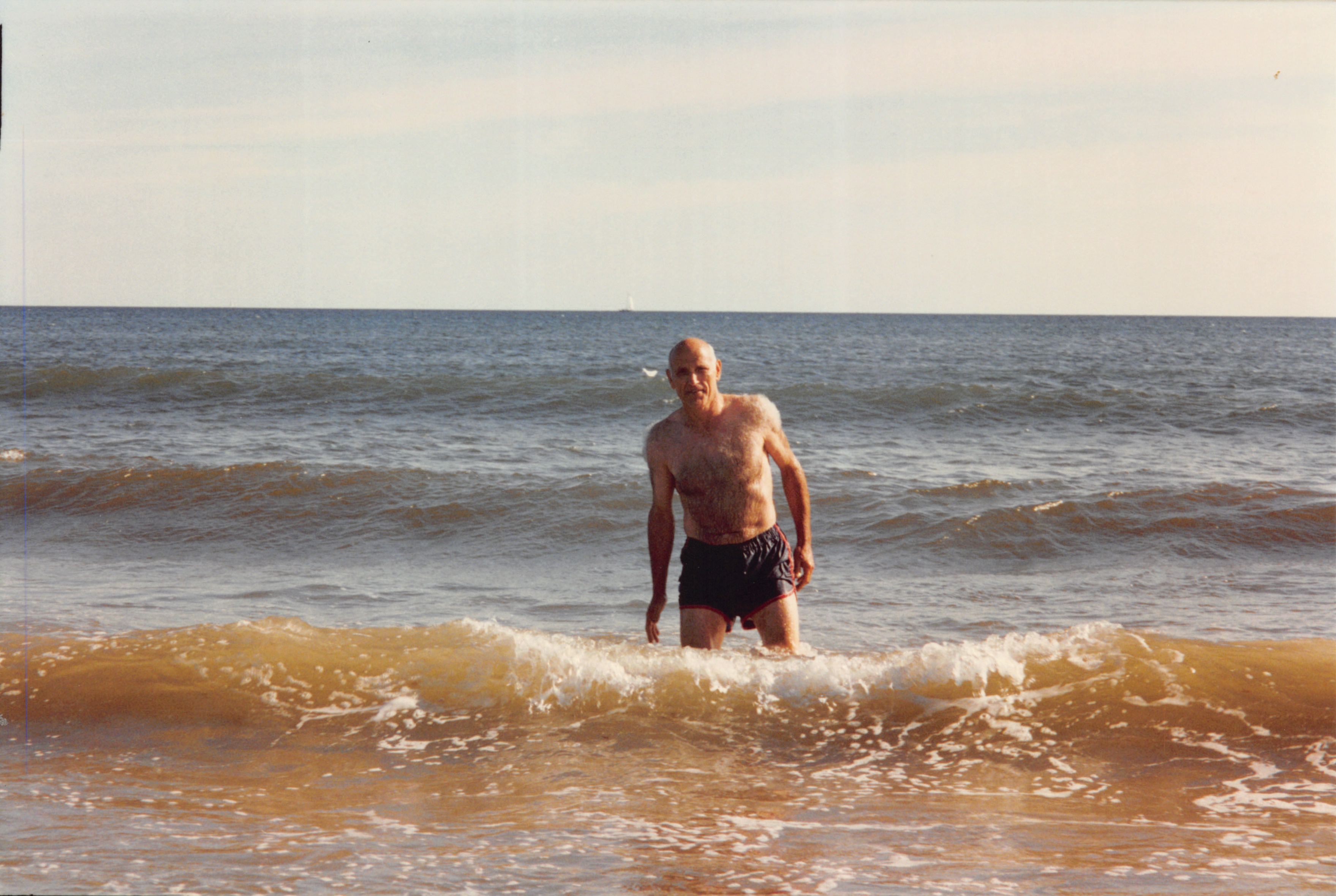 1996_524.jpg