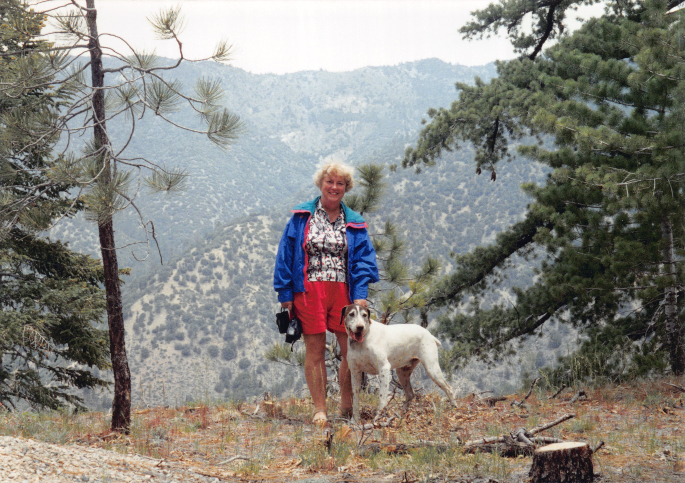 1997_551.jpg