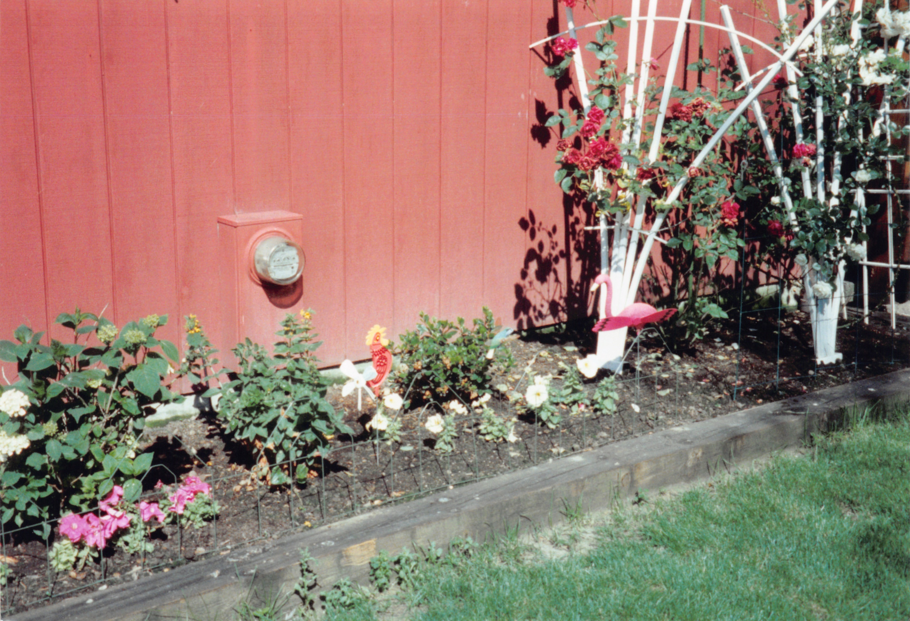 1997_554.jpg