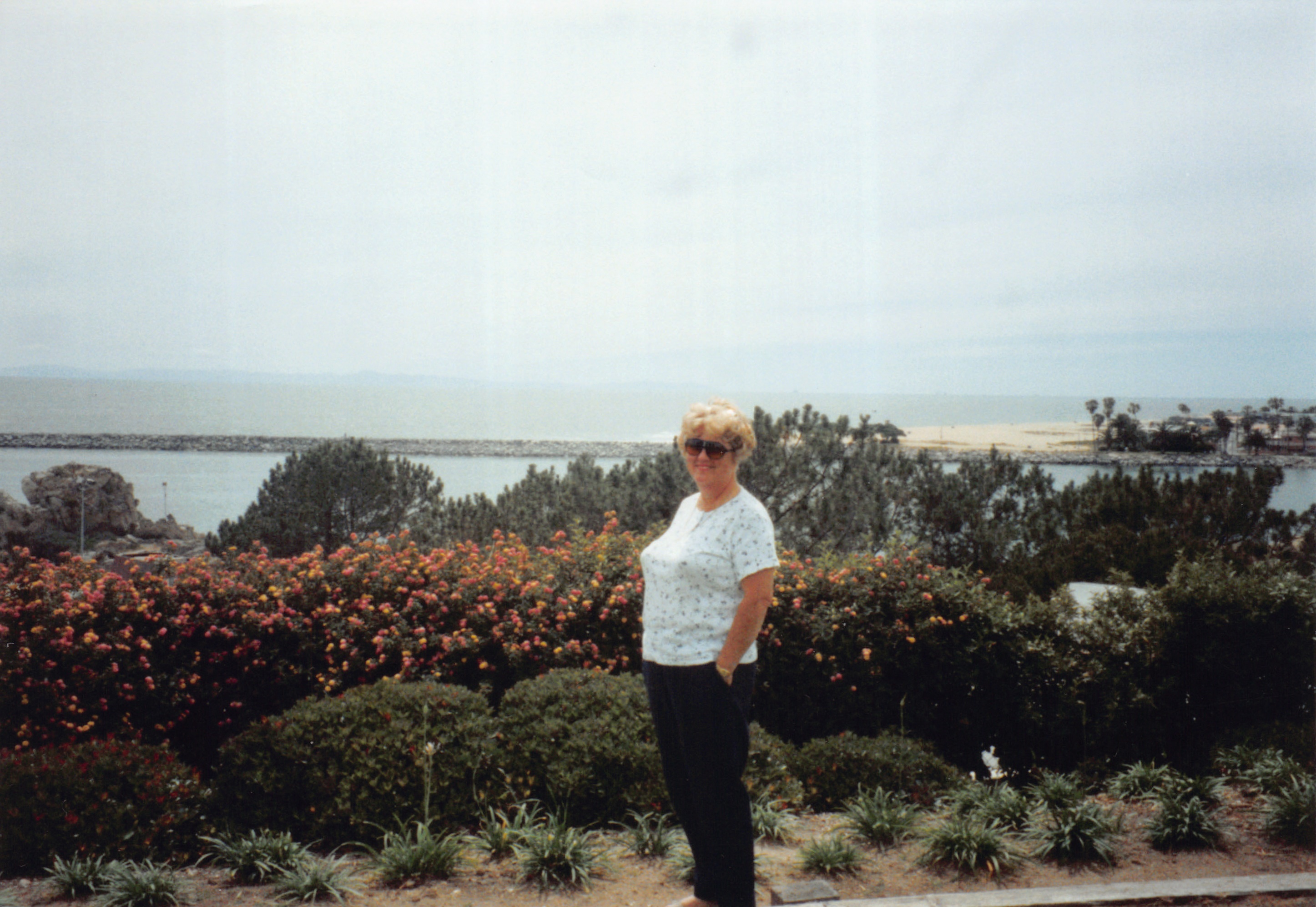 1997_559.jpg