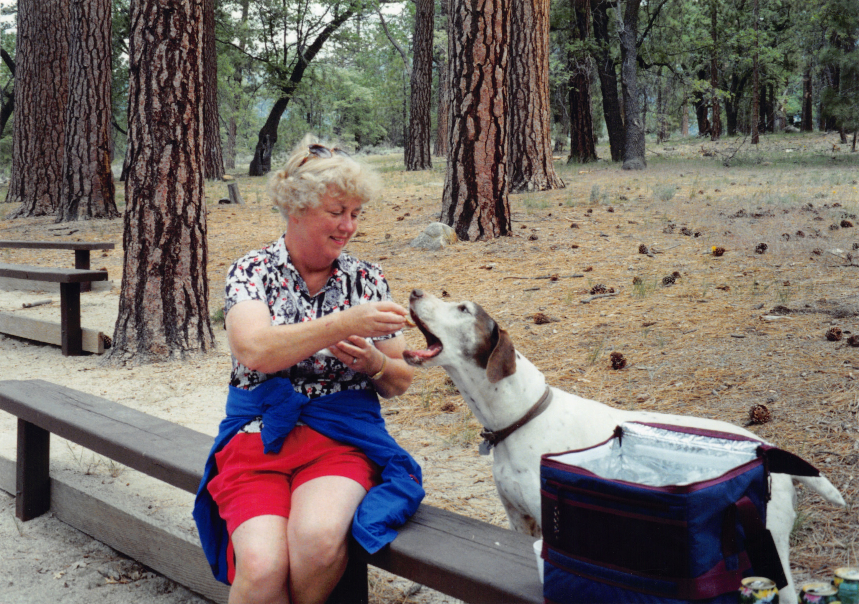 1997_573.jpg