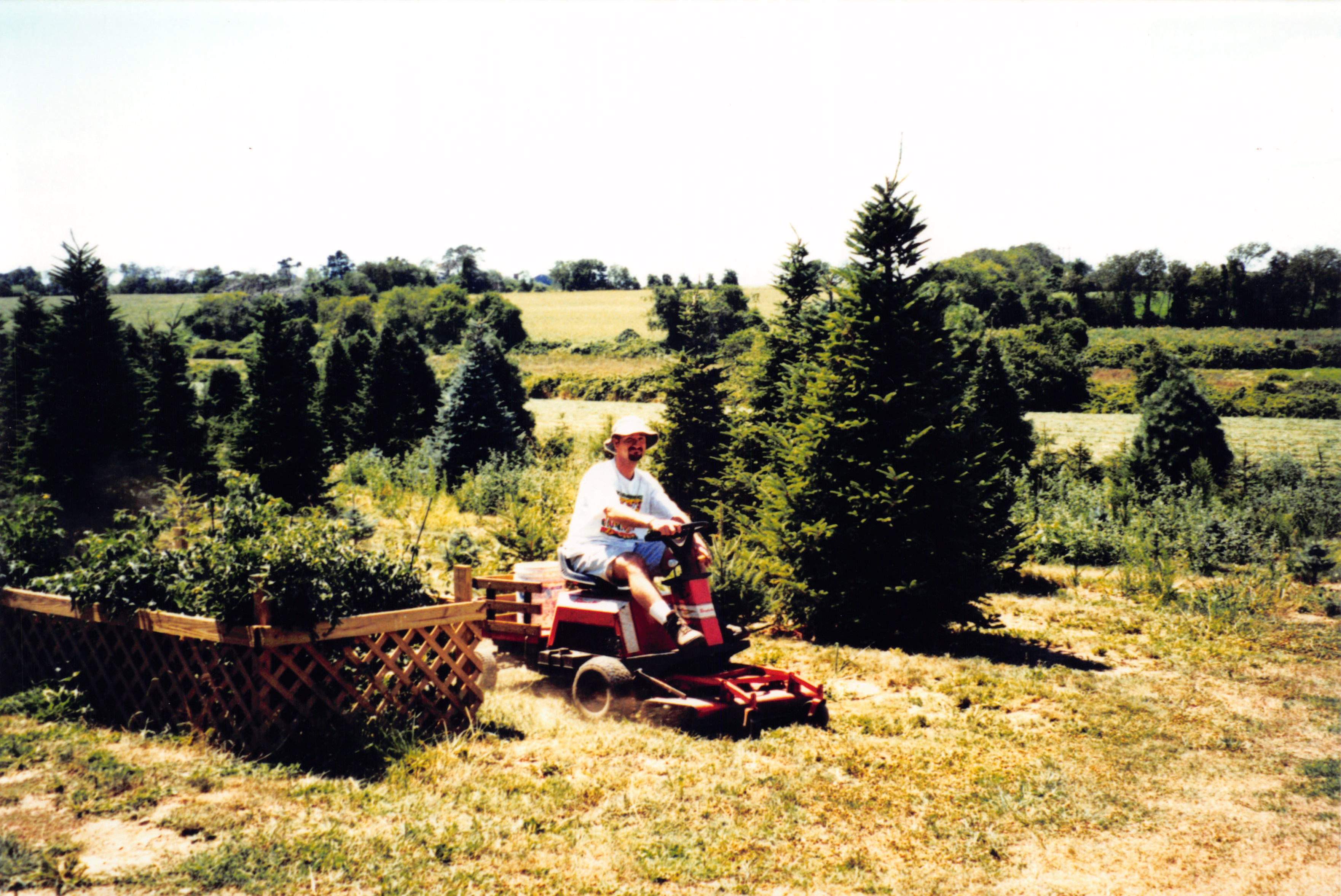 1999_014.jpg