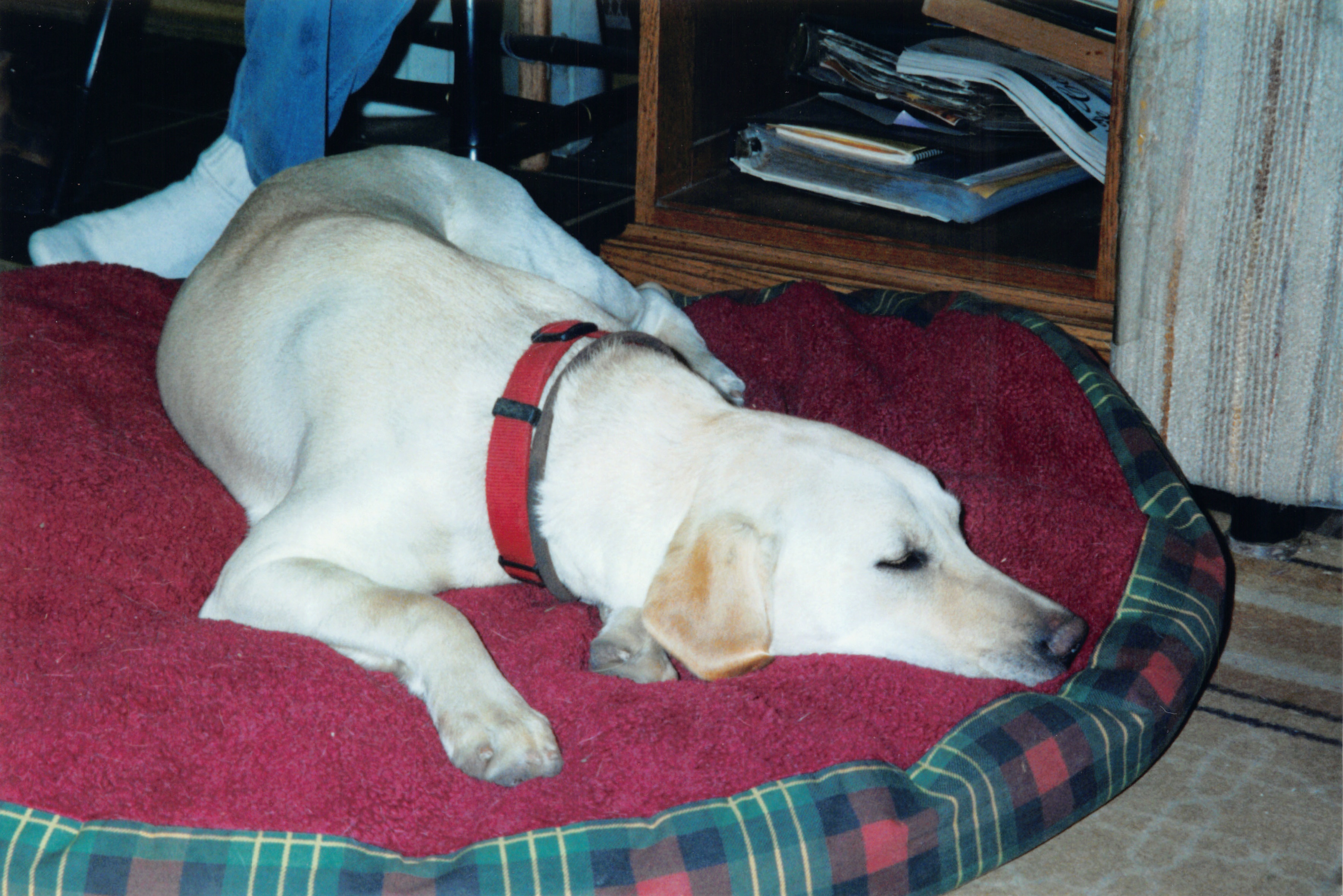 2000_144.jpg
