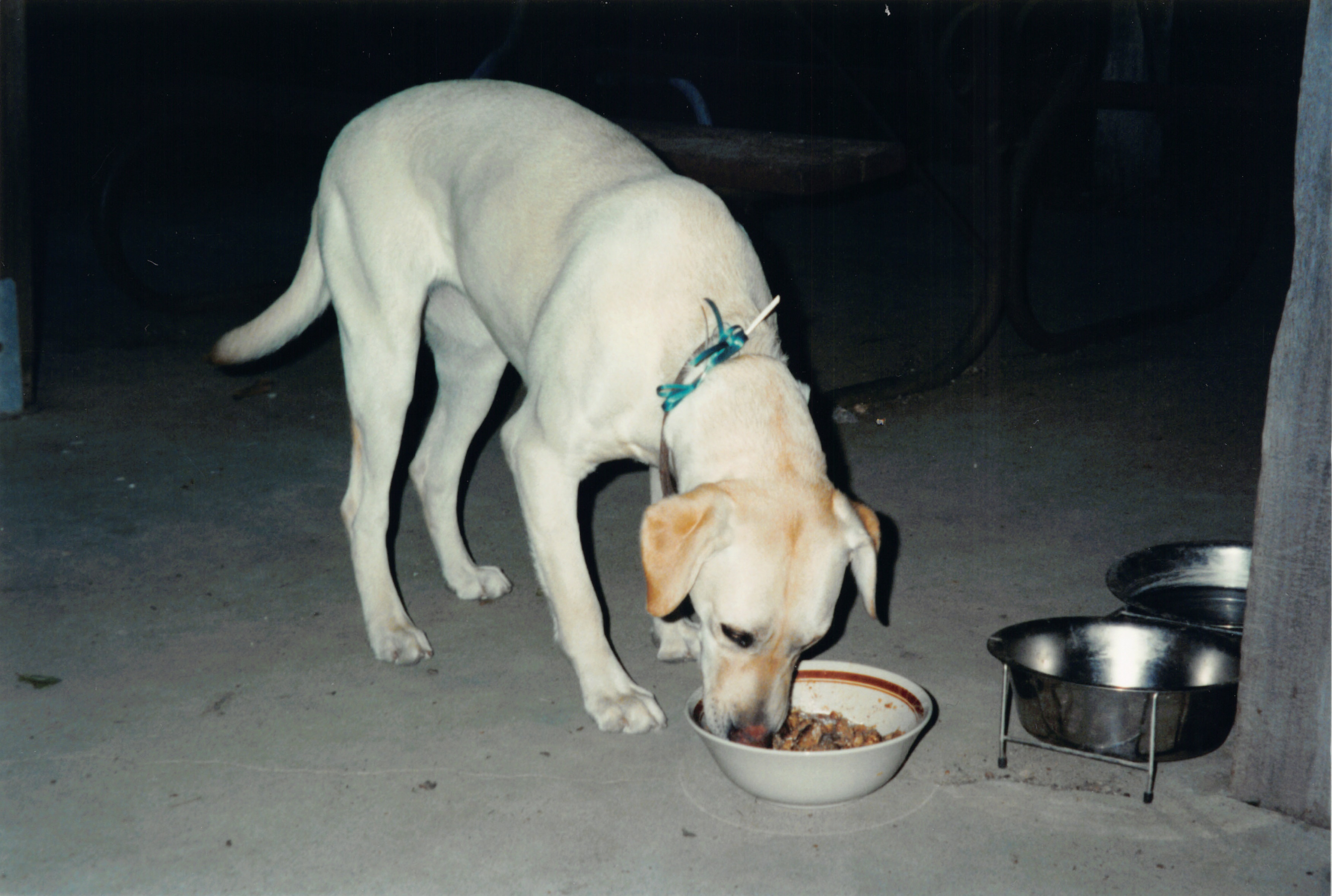 2000_162.jpg