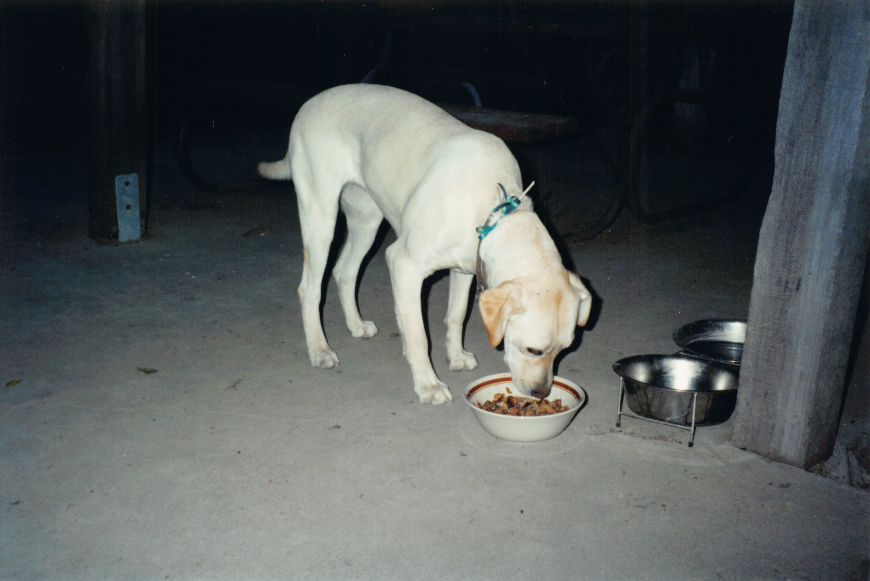 2000_164.jpg
