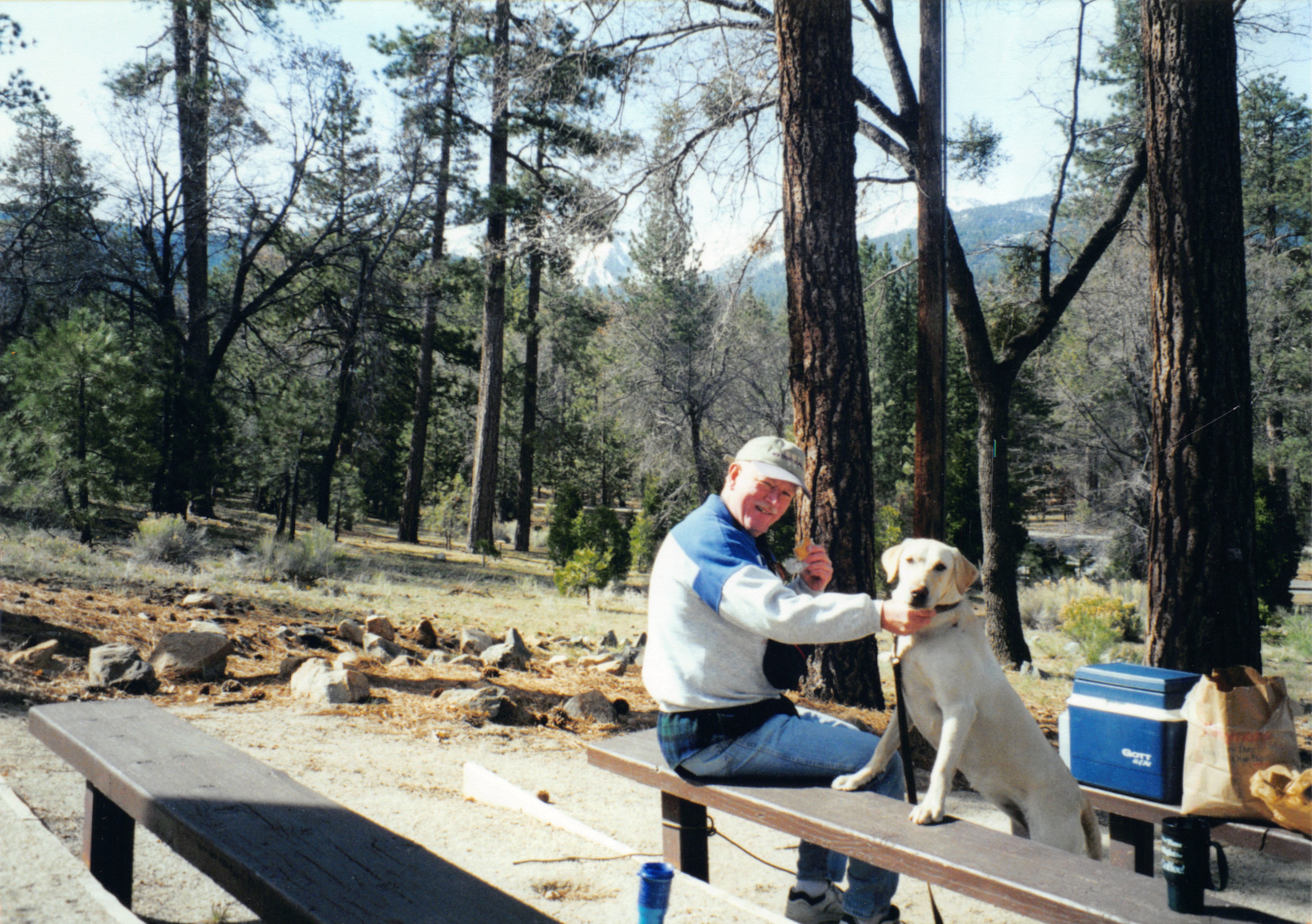 2000_178.jpg
