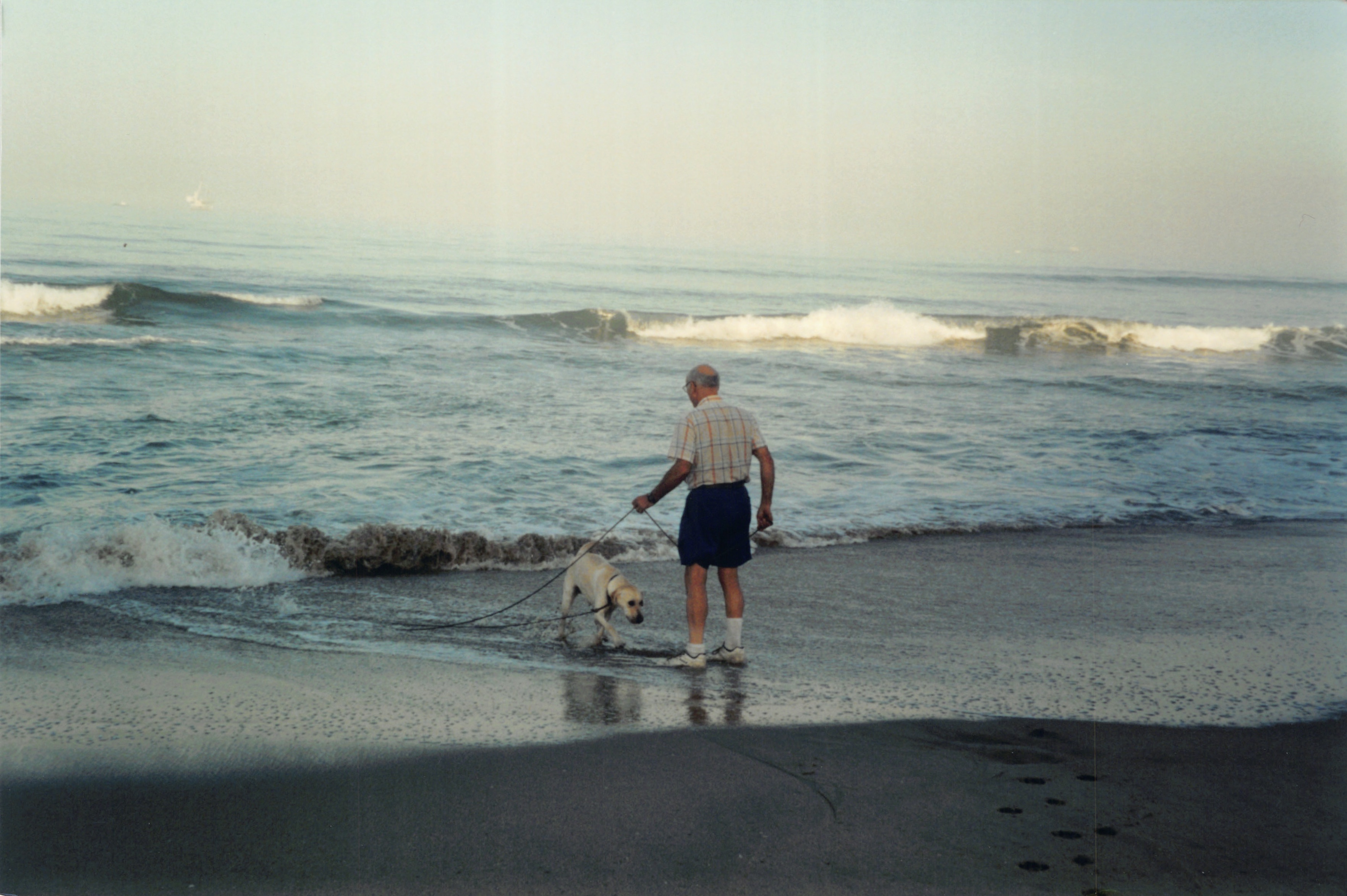2000_286.jpg