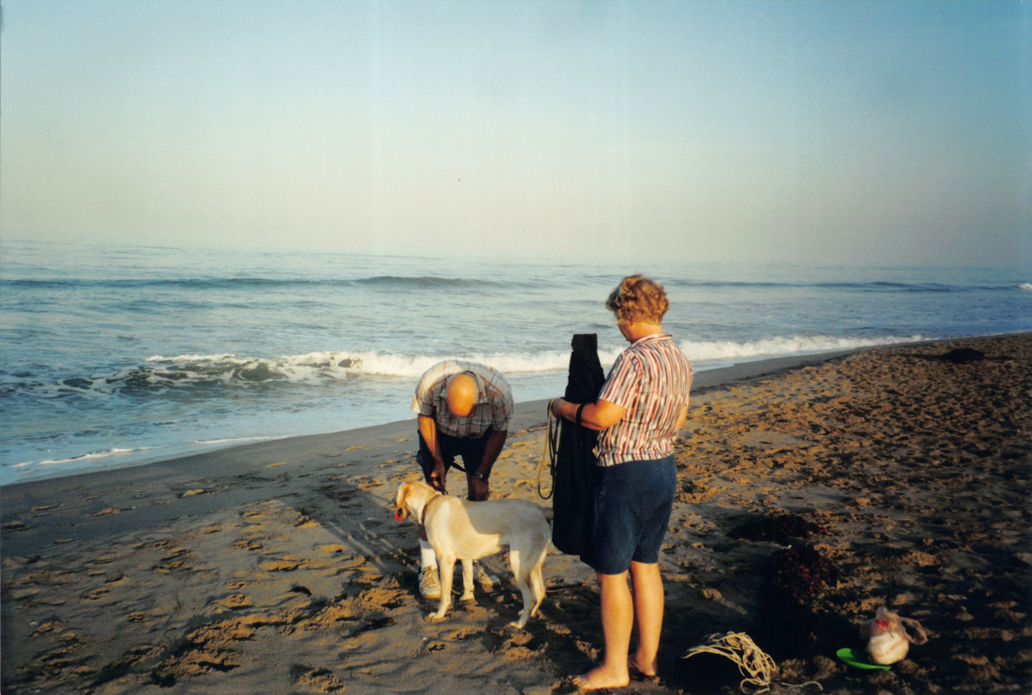 2000_290.jpg